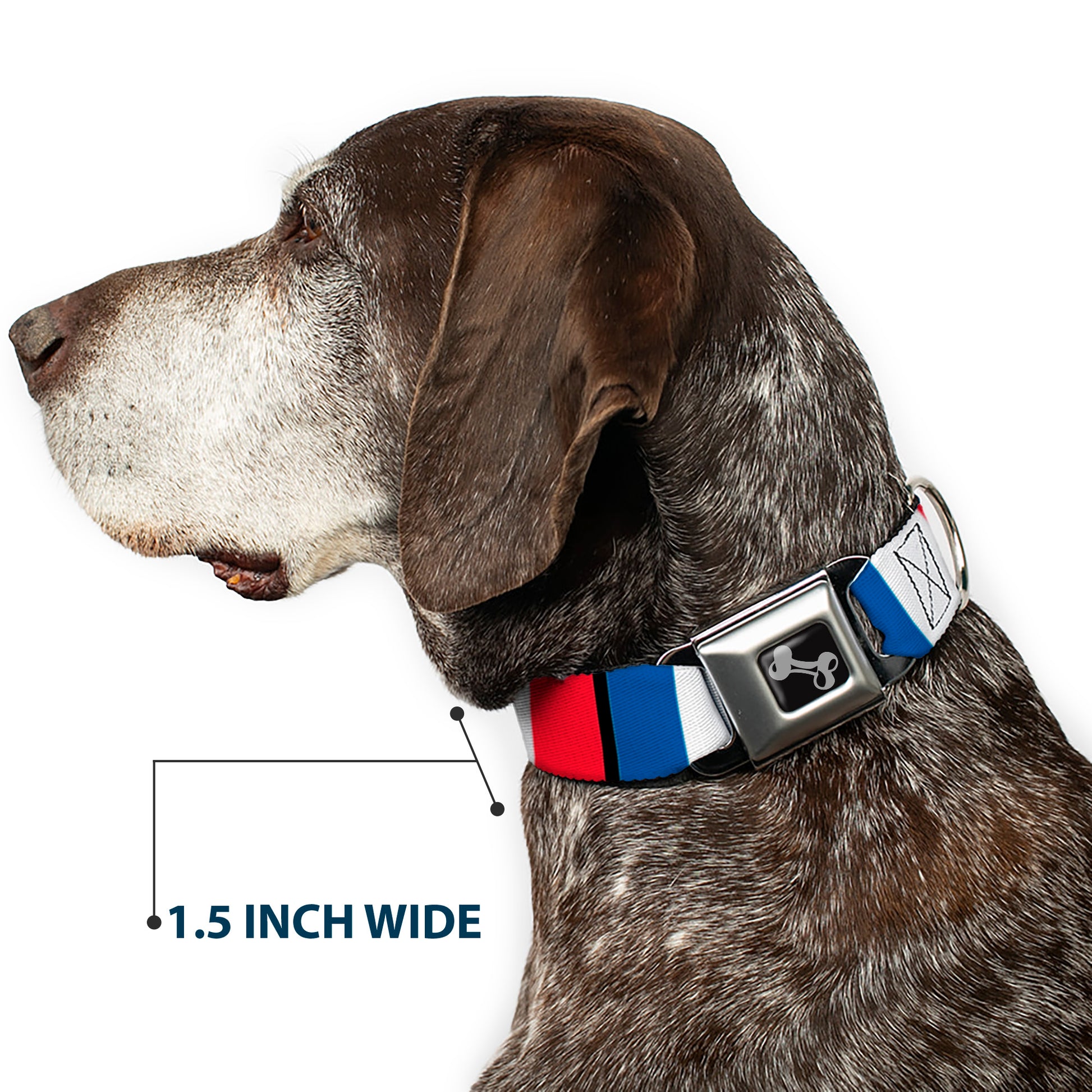 Dog Bone Seatbelt Buckle Collar - France Flags Seatbelt Buckle Collars Buckle-Down