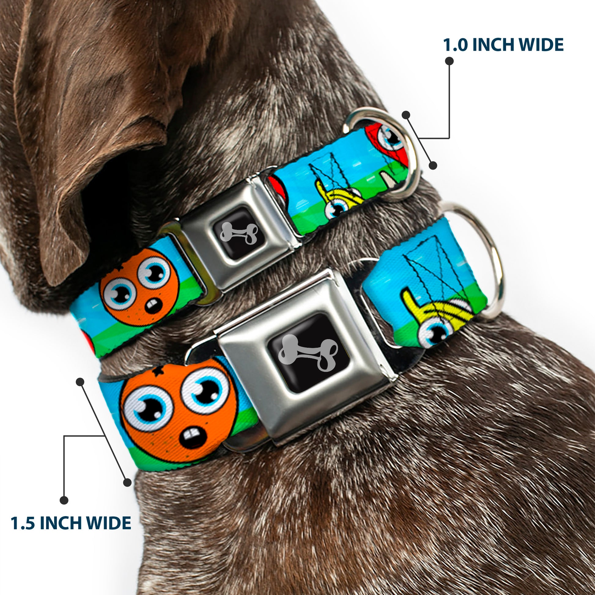 Dog Bone Seatbelt Buckle Collar - Fruit Cartoon Seatbelt Buckle Collars Buckle-Down