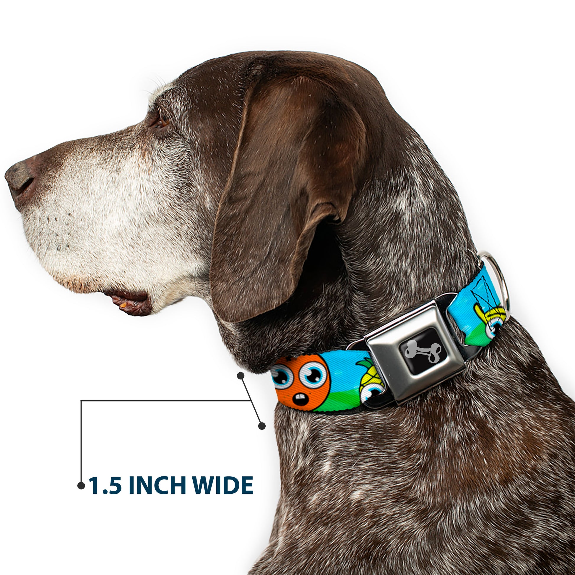 Dog Bone Seatbelt Buckle Collar - Fruit Cartoon Seatbelt Buckle Collars Buckle-Down