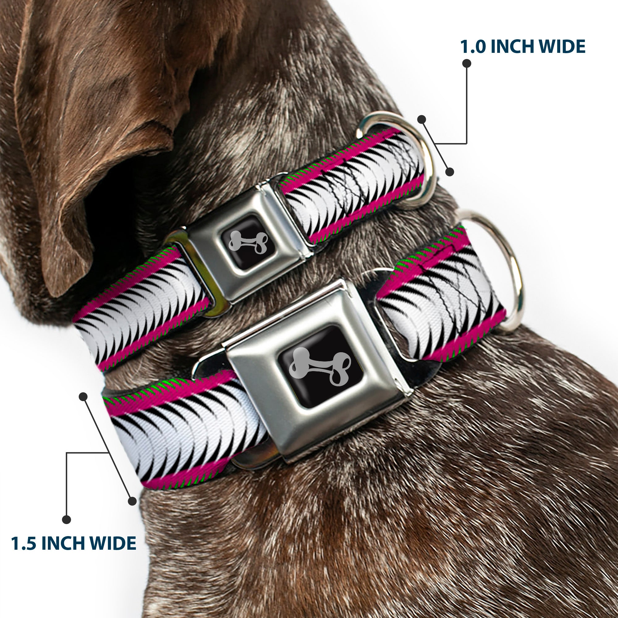 Dog Bone Seatbelt Buckle Collar - Fish Tail Fuchsia/Black/White Seatbelt Buckle Collars Buckle-Down