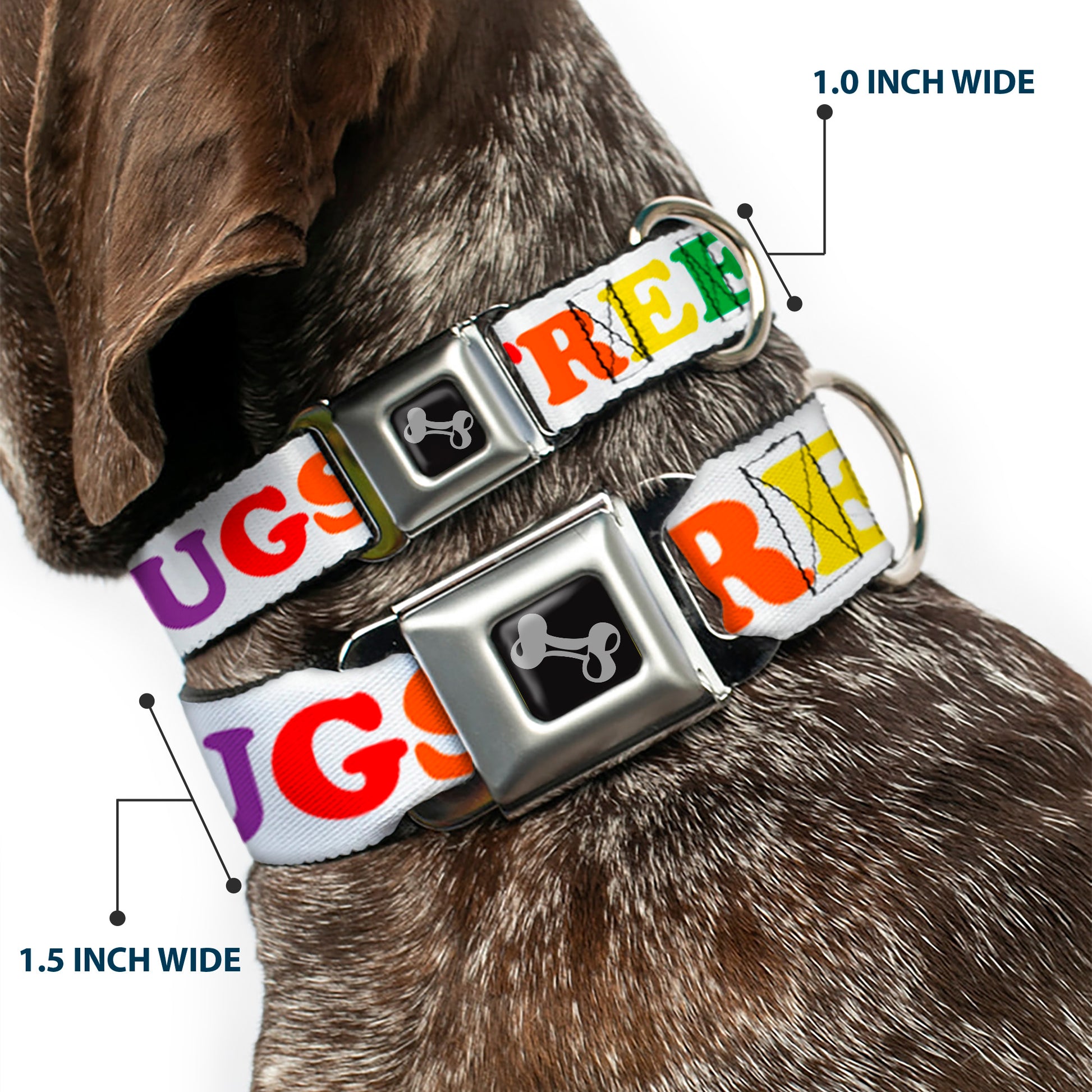 Dog Bone Seatbelt Buckle Collar - FREE HUGS White/Multi Color Seatbelt Buckle Collars Buckle-Down