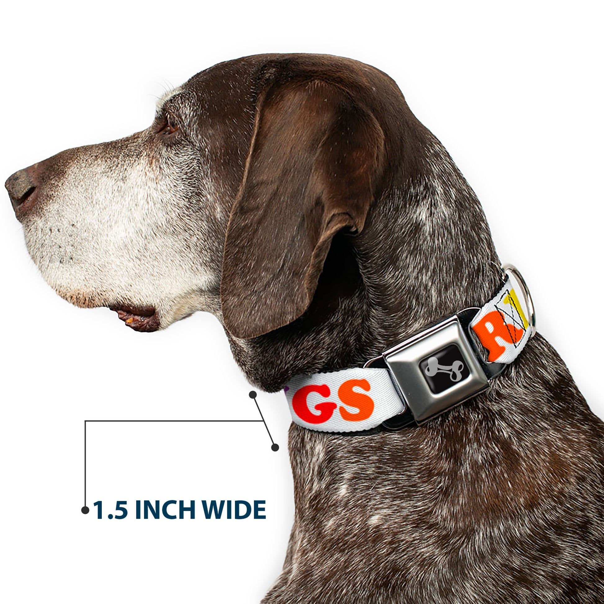 Dog Bone Seatbelt Buckle Collar - FREE HUGS White/Multi Color Seatbelt Buckle Collars Buckle-Down