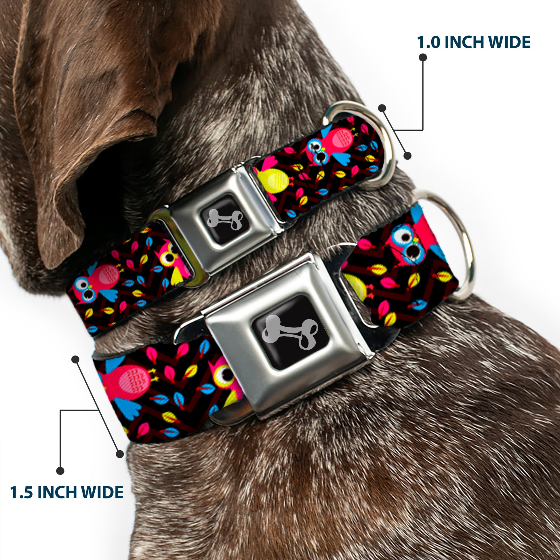 Dog Bone Seatbelt Buckle Collar - Flying Owls w/Leaves Black/Multi Color Seatbelt Buckle Collars Buckle-Down