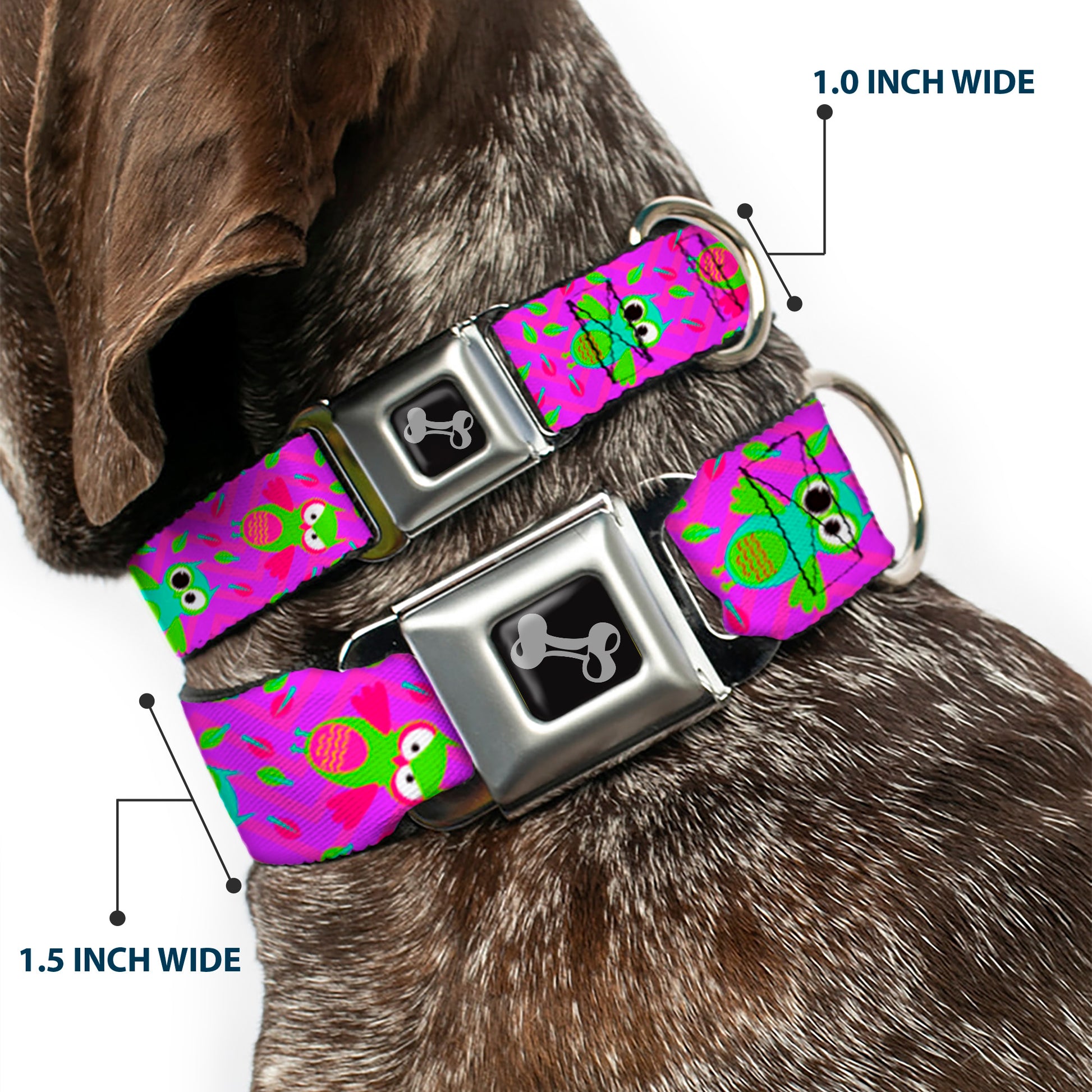 Dog Bone Seatbelt Buckle Collar - Flying Owls w/Leaves Purple/Multi Color Seatbelt Buckle Collars Buckle-Down