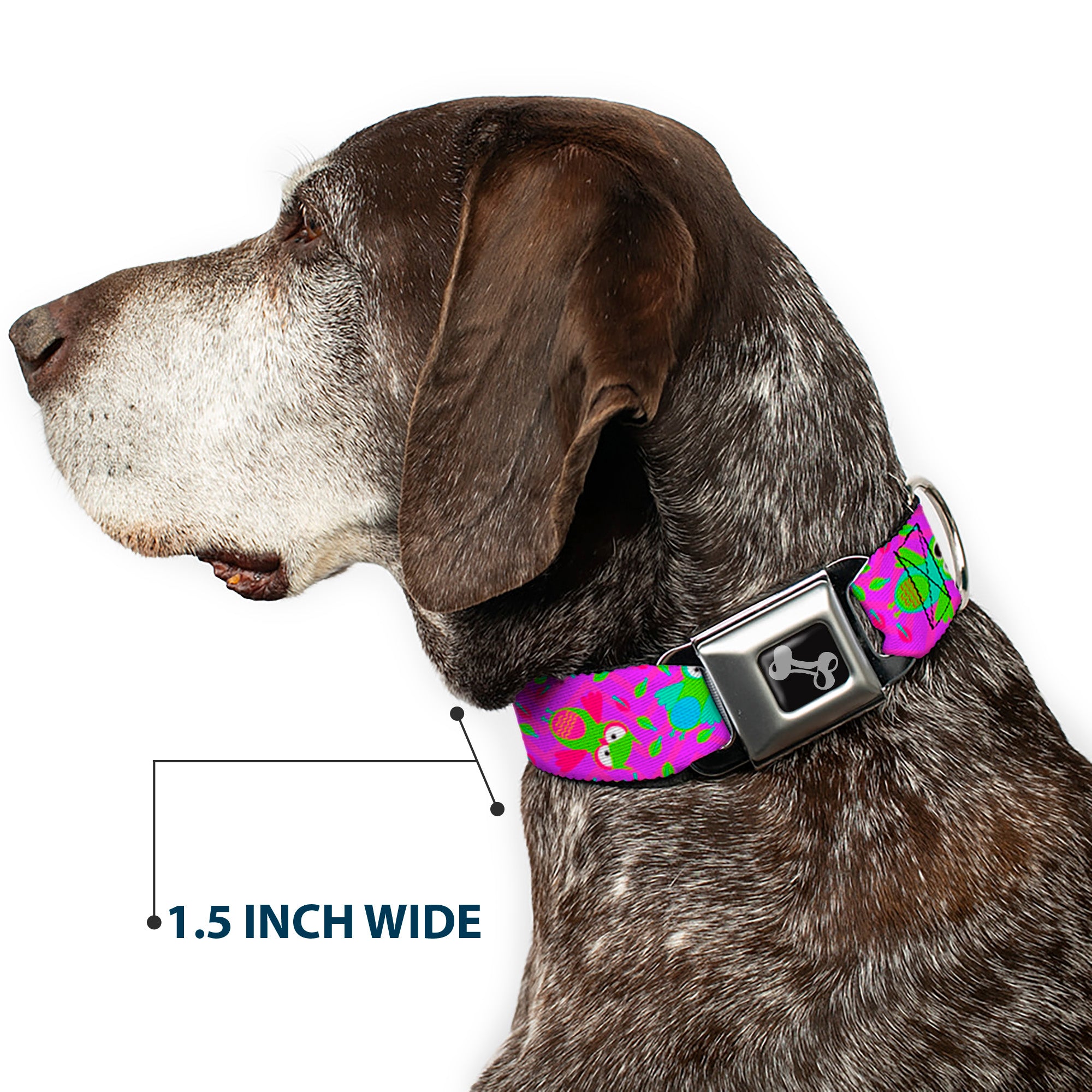 Dog Bone Seatbelt Buckle Collar - Flying Owls w/Leaves Purple/Multi Color Seatbelt Buckle Collars Buckle-Down