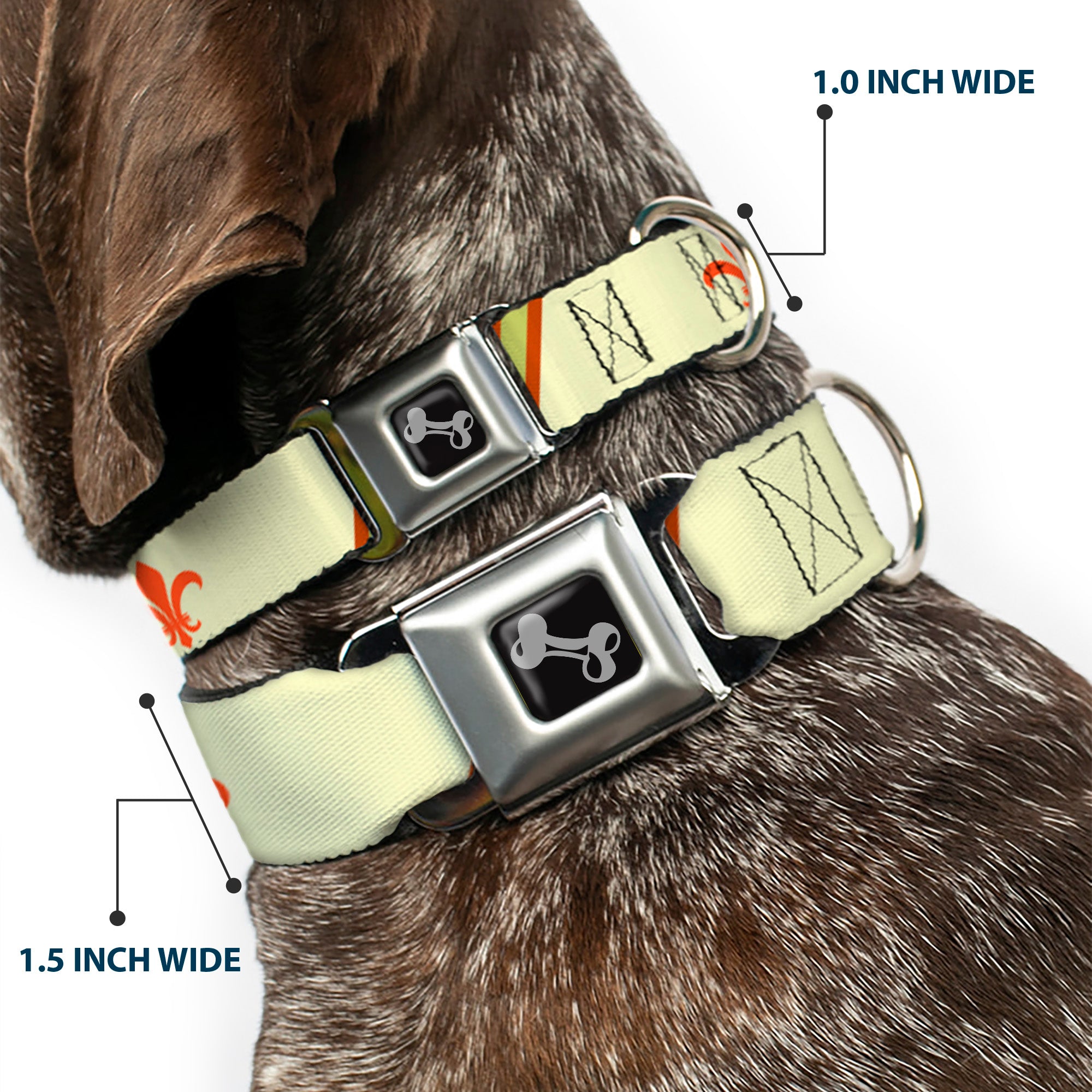 Dog Bone Seatbelt Buckle Collar - Fleur-de-Lis2 Stripes Tan/Orange/Brown/Green Seatbelt Buckle Collars Buckle-Down