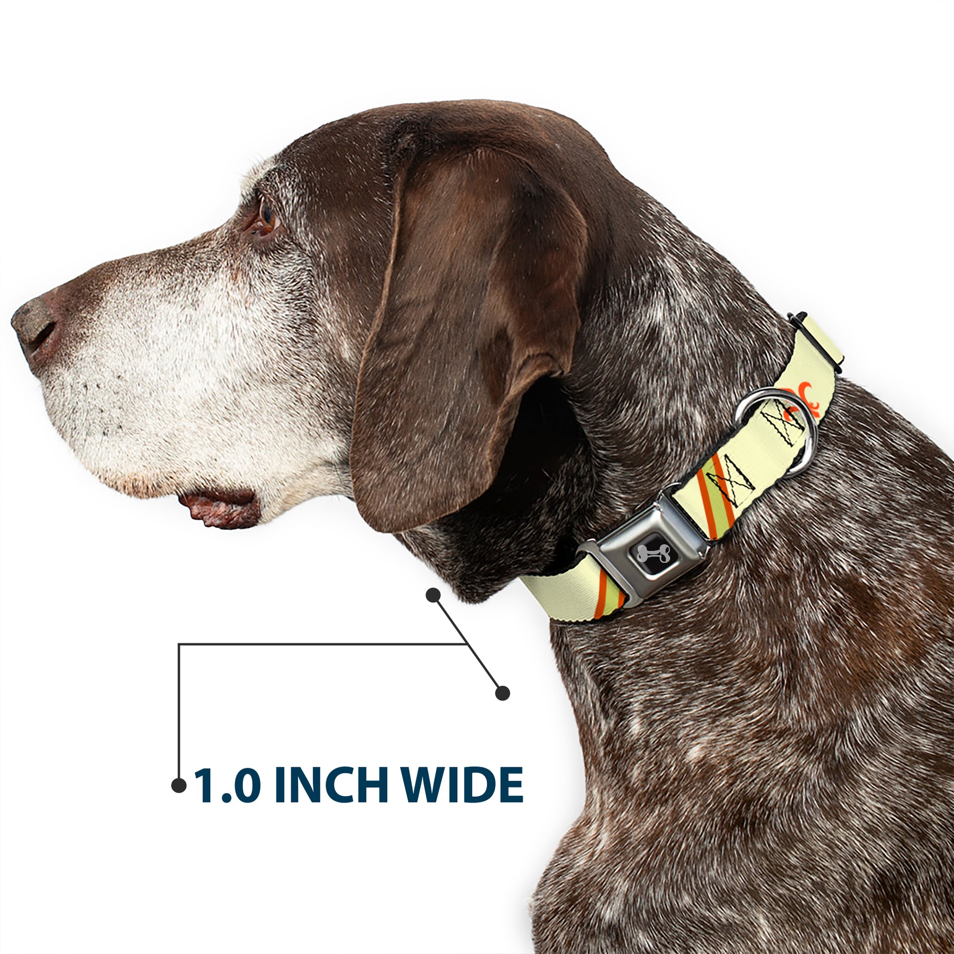 Dog Bone Seatbelt Buckle Collar - Fleur-de-Lis2 Stripes Tan/Orange/Brown/Green Seatbelt Buckle Collars Buckle-Down