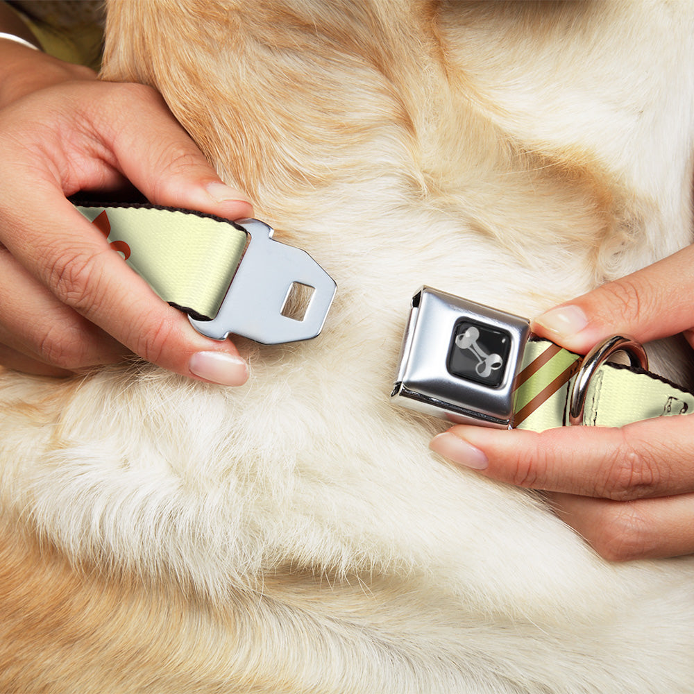 Dog Bone Seatbelt Buckle Collar - Fleur-de-Lis2 Stripes Tan/Orange/Brown/Green Seatbelt Buckle Collars Buckle-Down