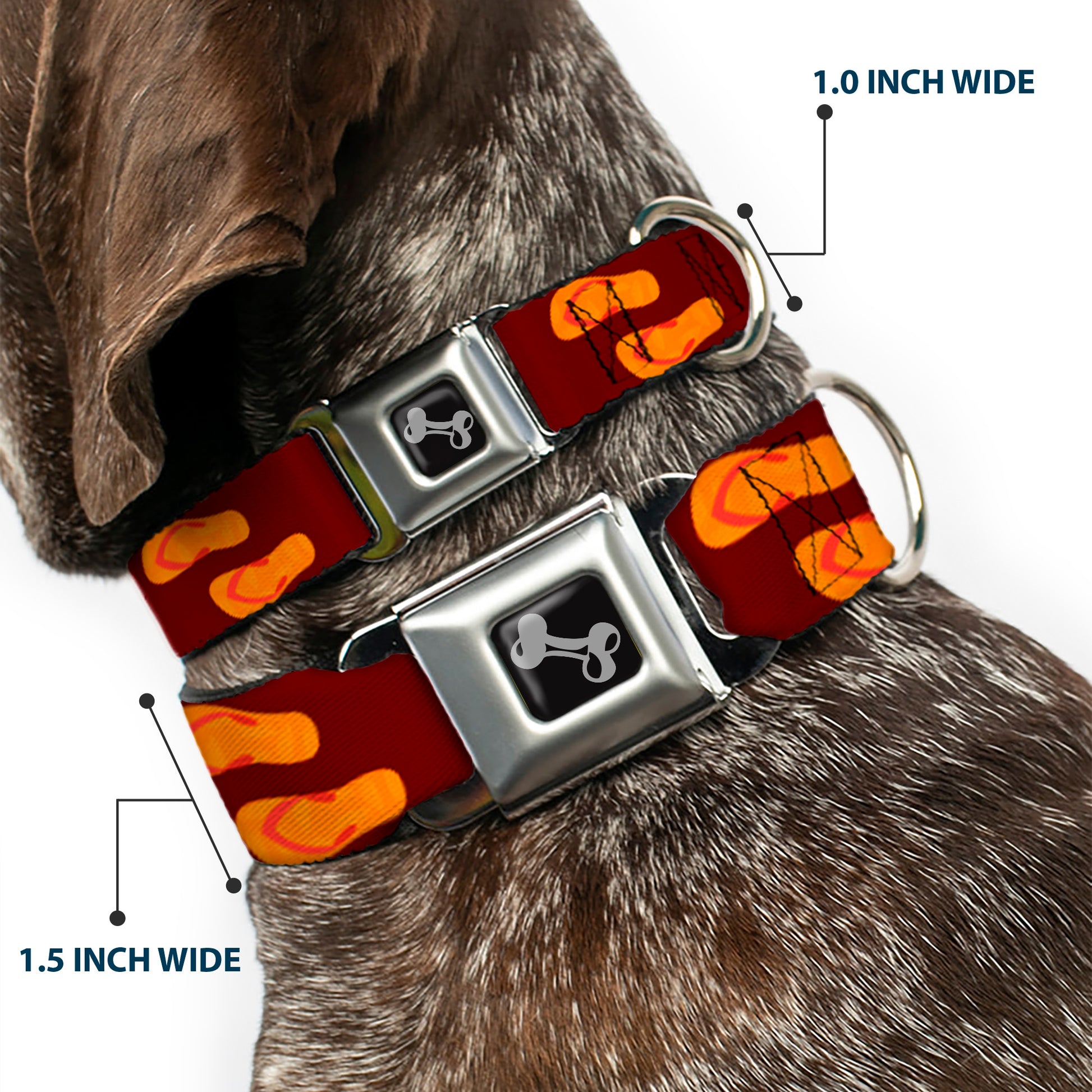 Dog Bone Seatbelt Buckle Collar - Flip Flops Burgundy/Orange Seatbelt Buckle Collars Buckle-Down
