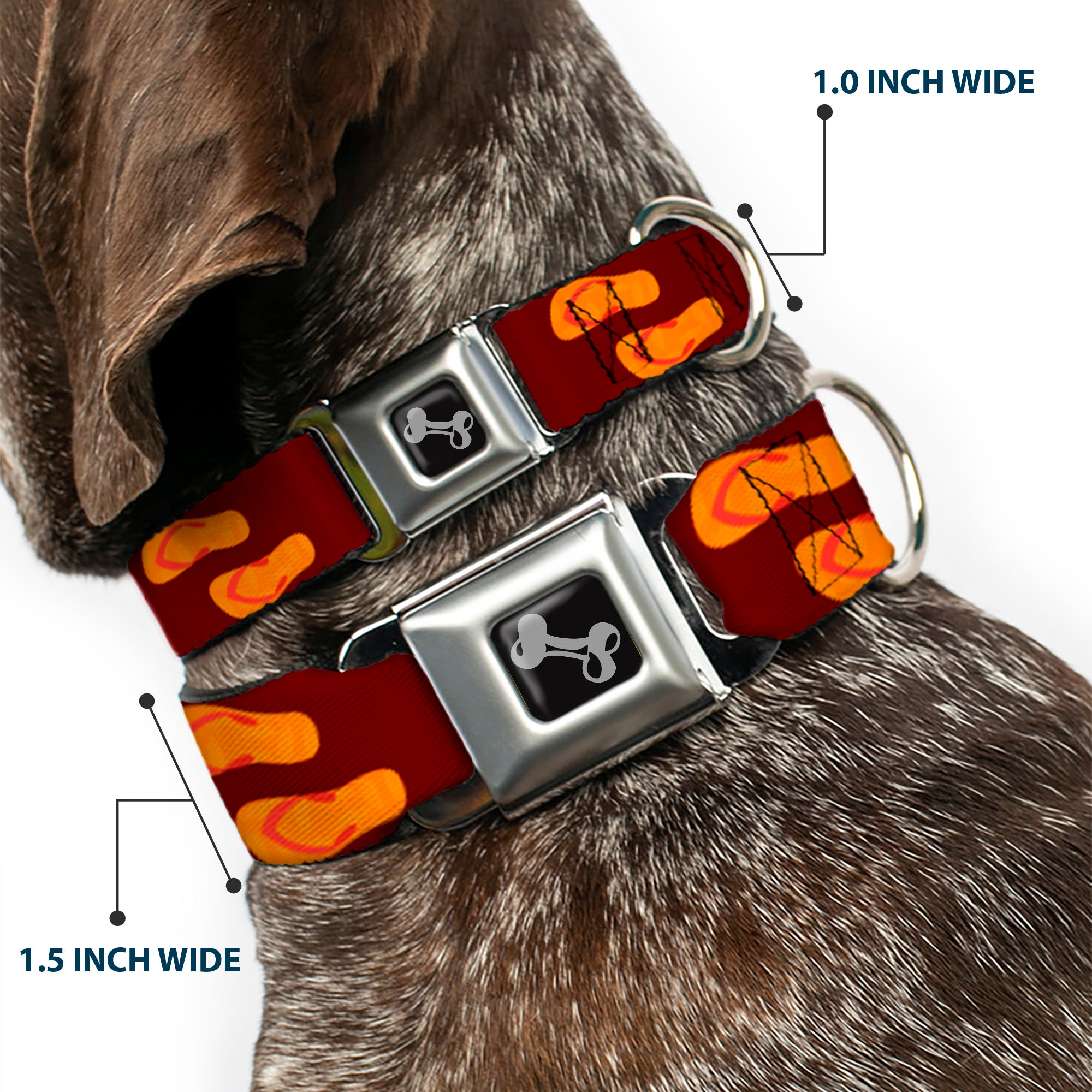 Dog Bone Seatbelt Buckle Collar - Flip Flops Burgundy/Orange Seatbelt Buckle Collars Buckle-Down