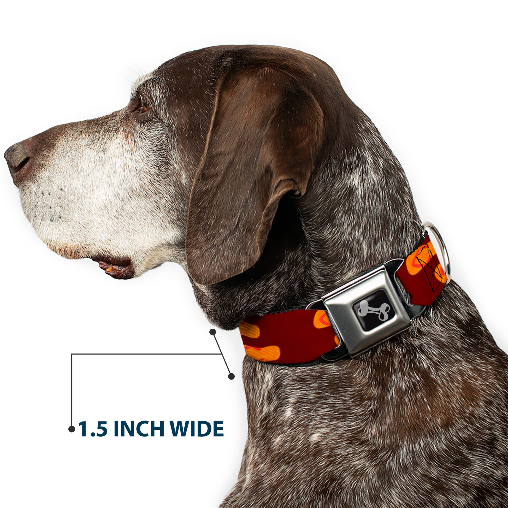 Dog Bone Seatbelt Buckle Collar - Flip Flops Burgundy/Orange Seatbelt Buckle Collars Buckle-Down