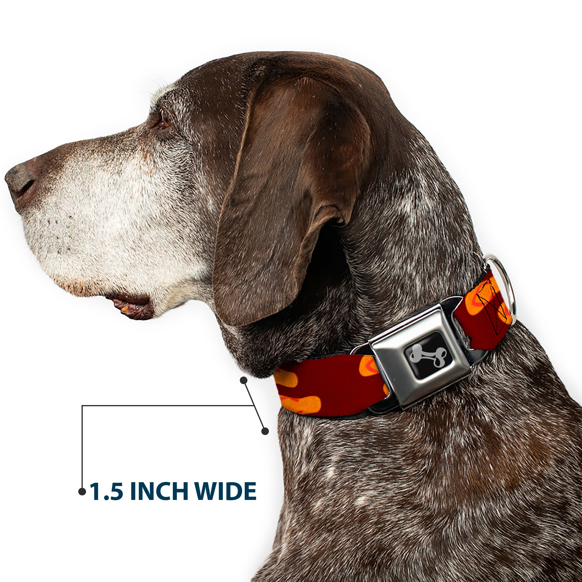 Dog Bone Seatbelt Buckle Collar - Flip Flops Burgundy/Orange Seatbelt Buckle Collars Buckle-Down