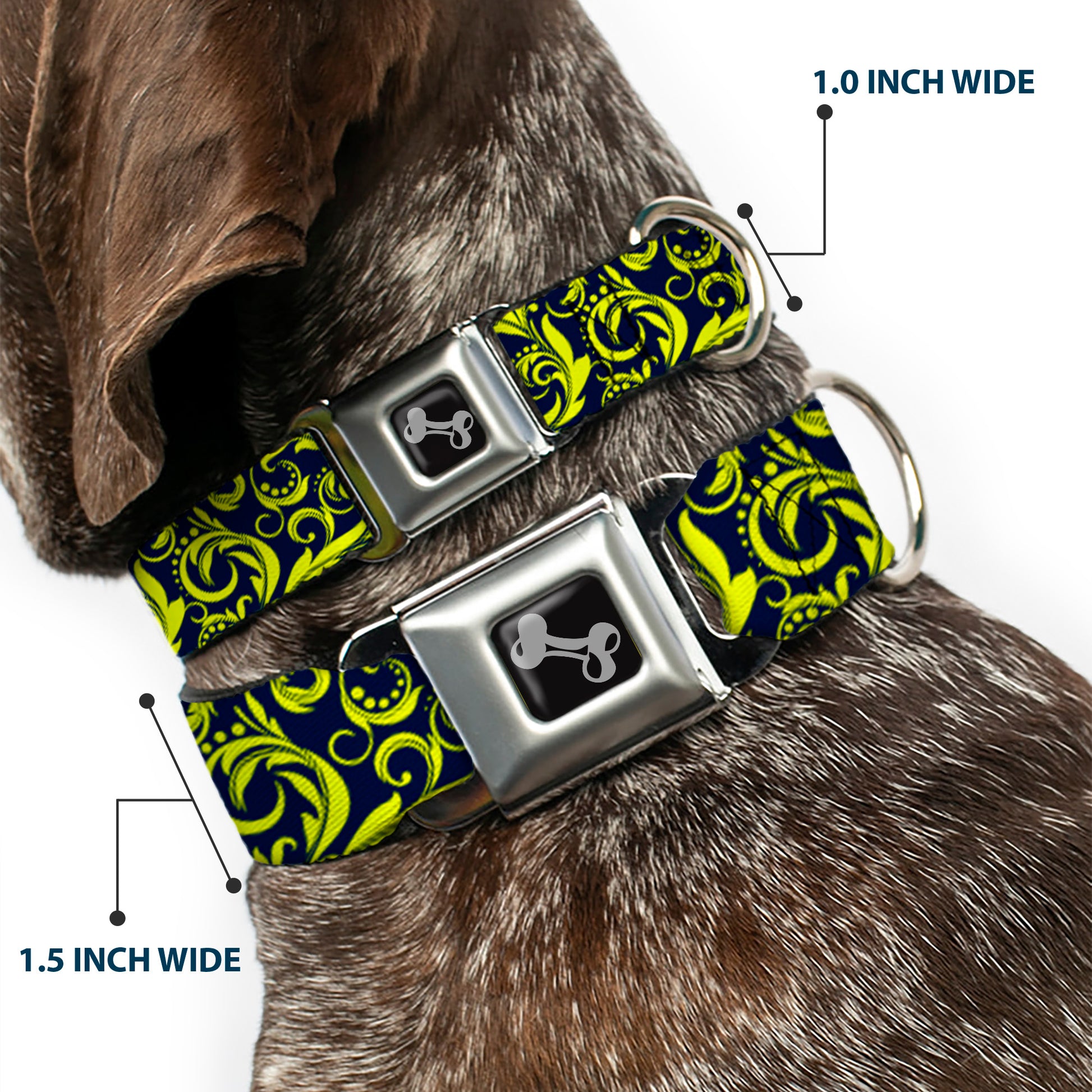 Dog Bone Seatbelt Buckle Collar - Filigree Navy/Yellow Seatbelt Buckle Collars Buckle-Down