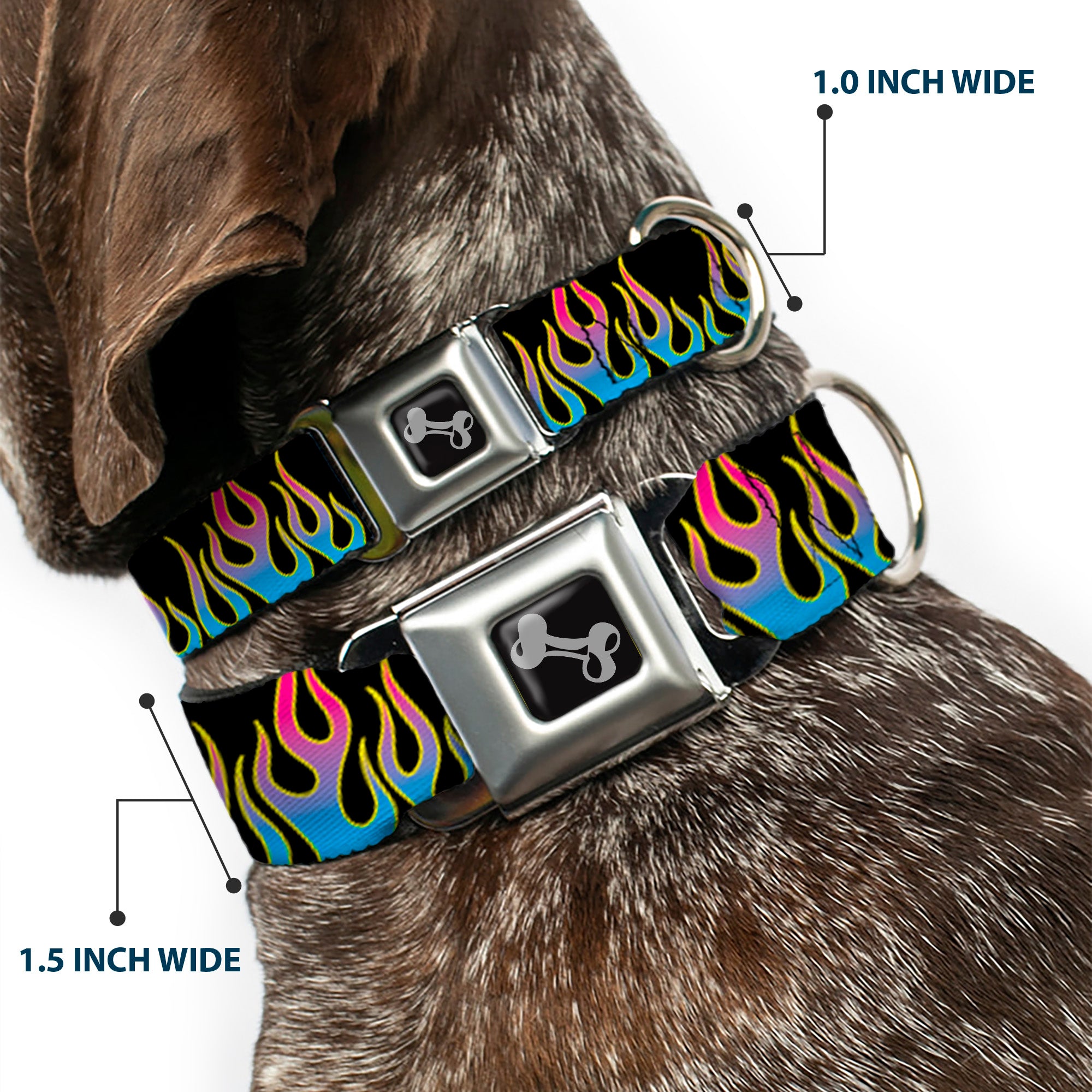 Dog Bone Seatbelt Buckle Collar - Flames Black/Blue/Pink Seatbelt Buckle Collars Buckle-Down