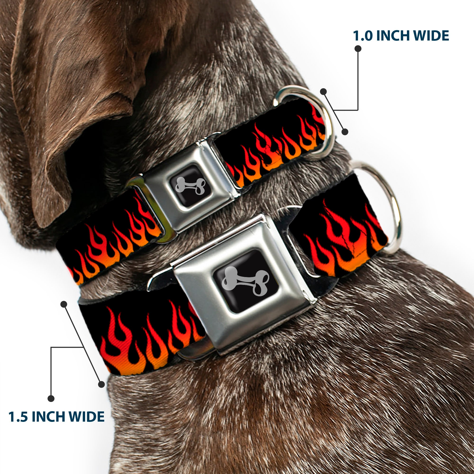 Dog Bone Seatbelt Buckle Collar - Flames Black/Orange/Red Seatbelt Buckle Collars Buckle-Down