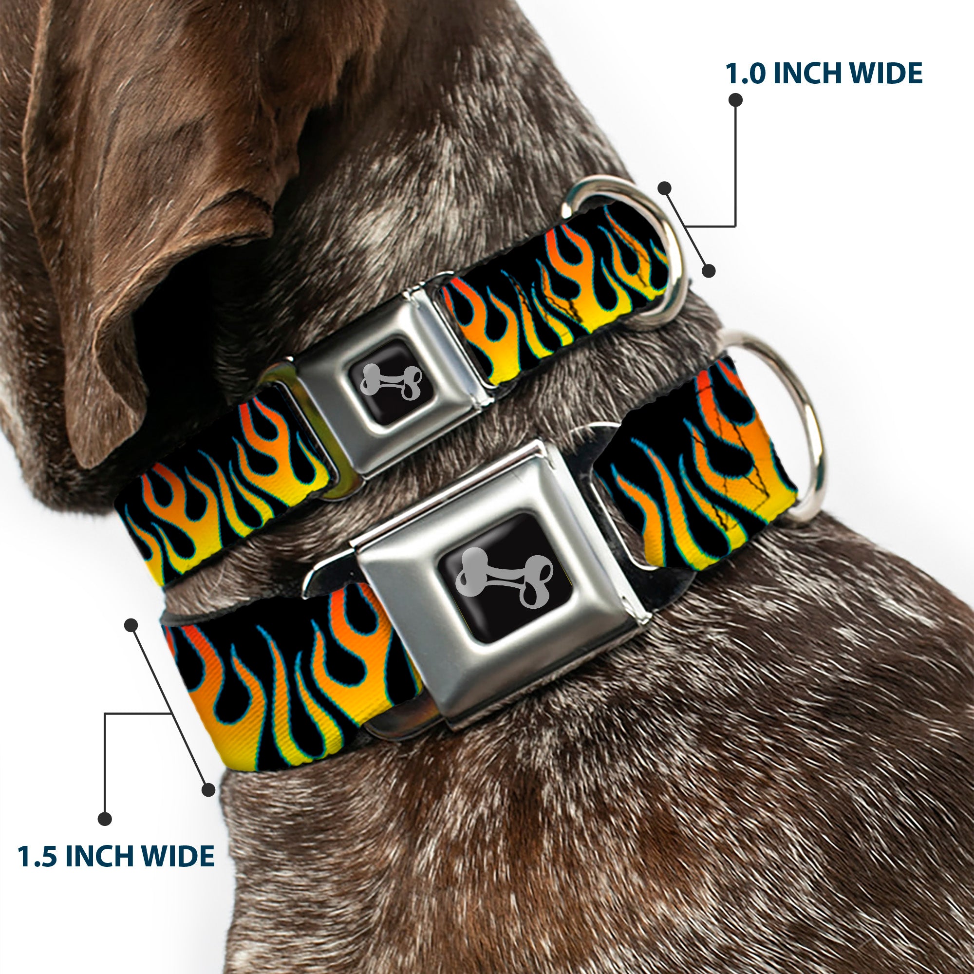 Dog Bone Seatbelt Buckle Collar - Flames Black/Yellow/Orange Seatbelt Buckle Collars Buckle-Down