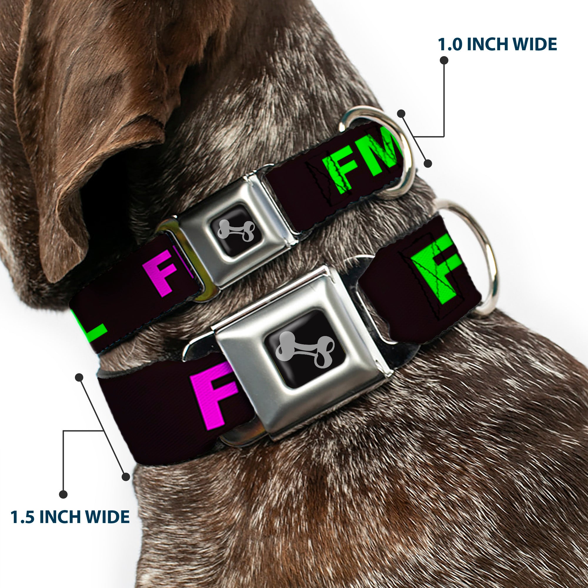 Buckle-Down Seatbelt Buckle Dog Collar - FML Black/Yellow/Green/Purple Seatbelt Buckle Collars Buckle-Down