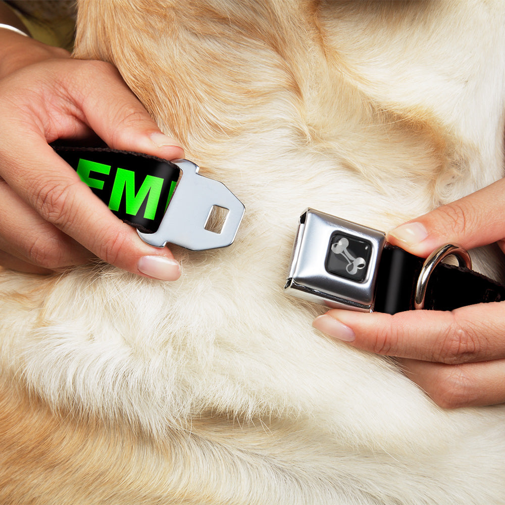 Buckle-Down Seatbelt Buckle Dog Collar - FML Black/Yellow/Green/Purple Seatbelt Buckle Collars Buckle-Down