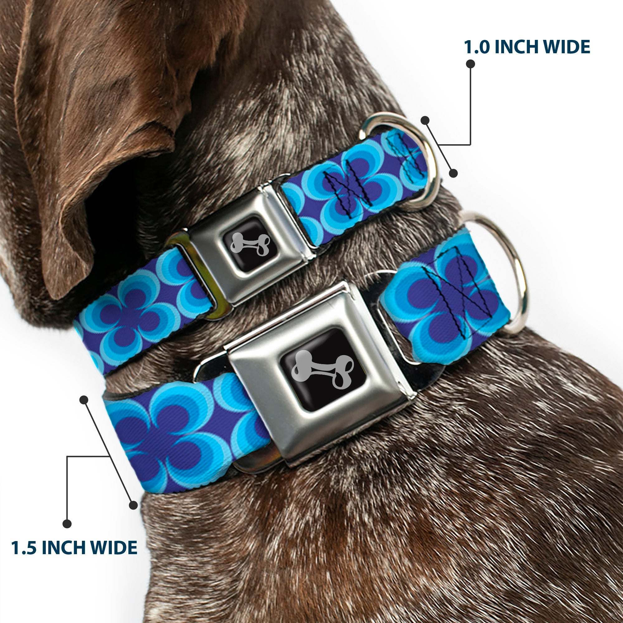 Dog Bone Seatbelt Buckle Collar - Four Dot Gradient Royal/Blues Seatbelt Buckle Collars Buckle-Down