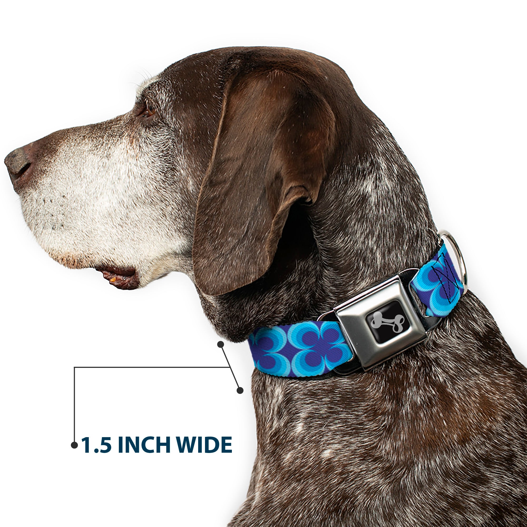 Dog Bone Seatbelt Buckle Collar - Four Dot Gradient Royal/Blues Seatbelt Buckle Collars Buckle-Down
