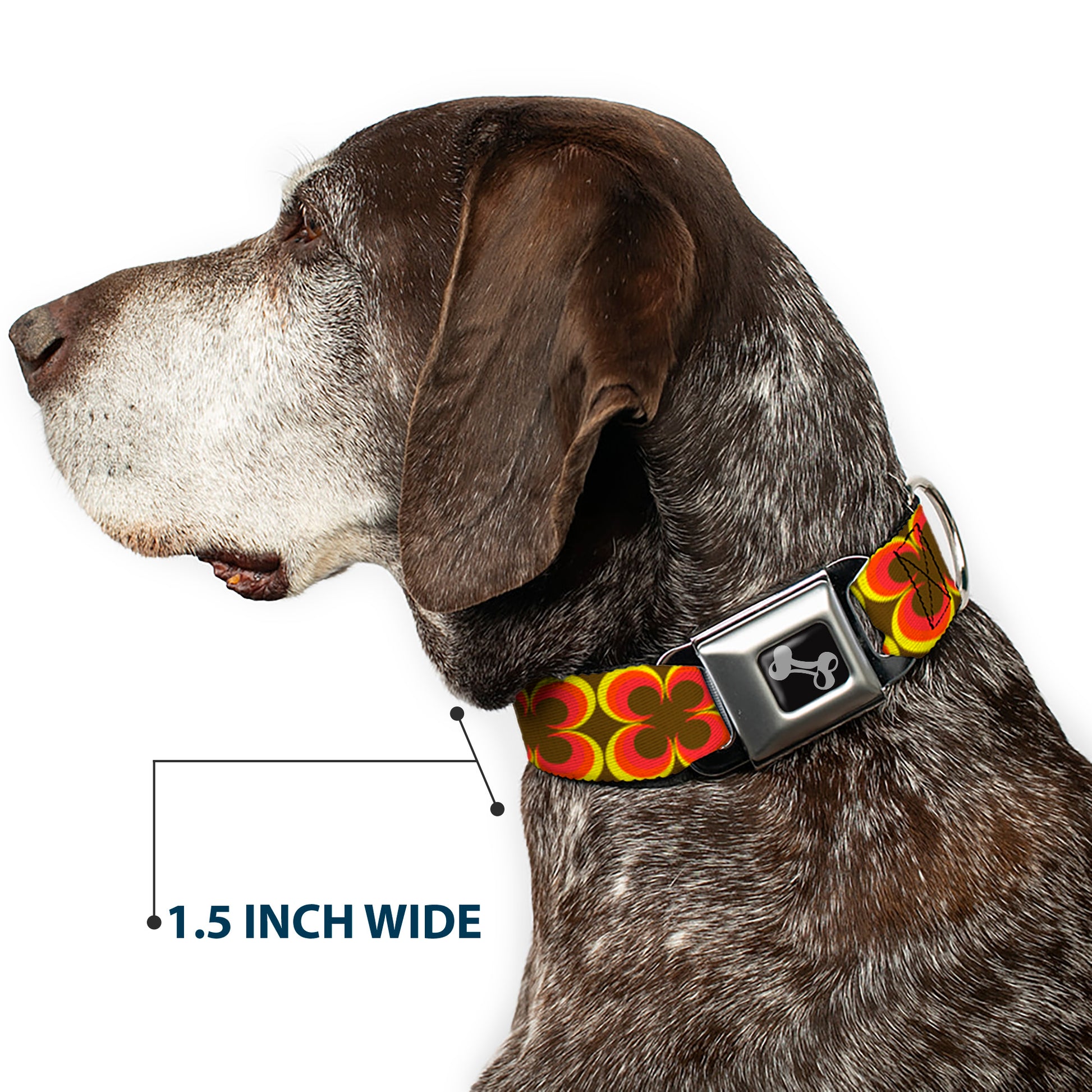 Dog Bone Seatbelt Buckle Collar - Four Dot Gradient Brown/Yellow/Red Seatbelt Buckle Collars Buckle-Down