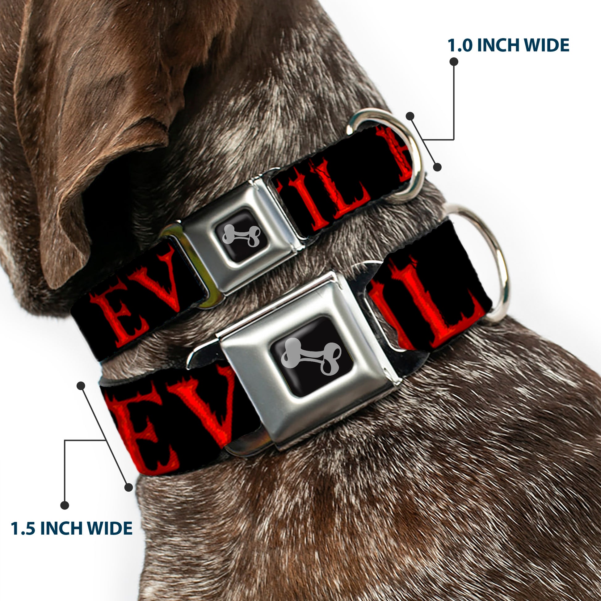 Dog Bone Seatbelt Buckle Collar - Flaming EVIL Black/Red Seatbelt Buckle Collars Buckle-Down