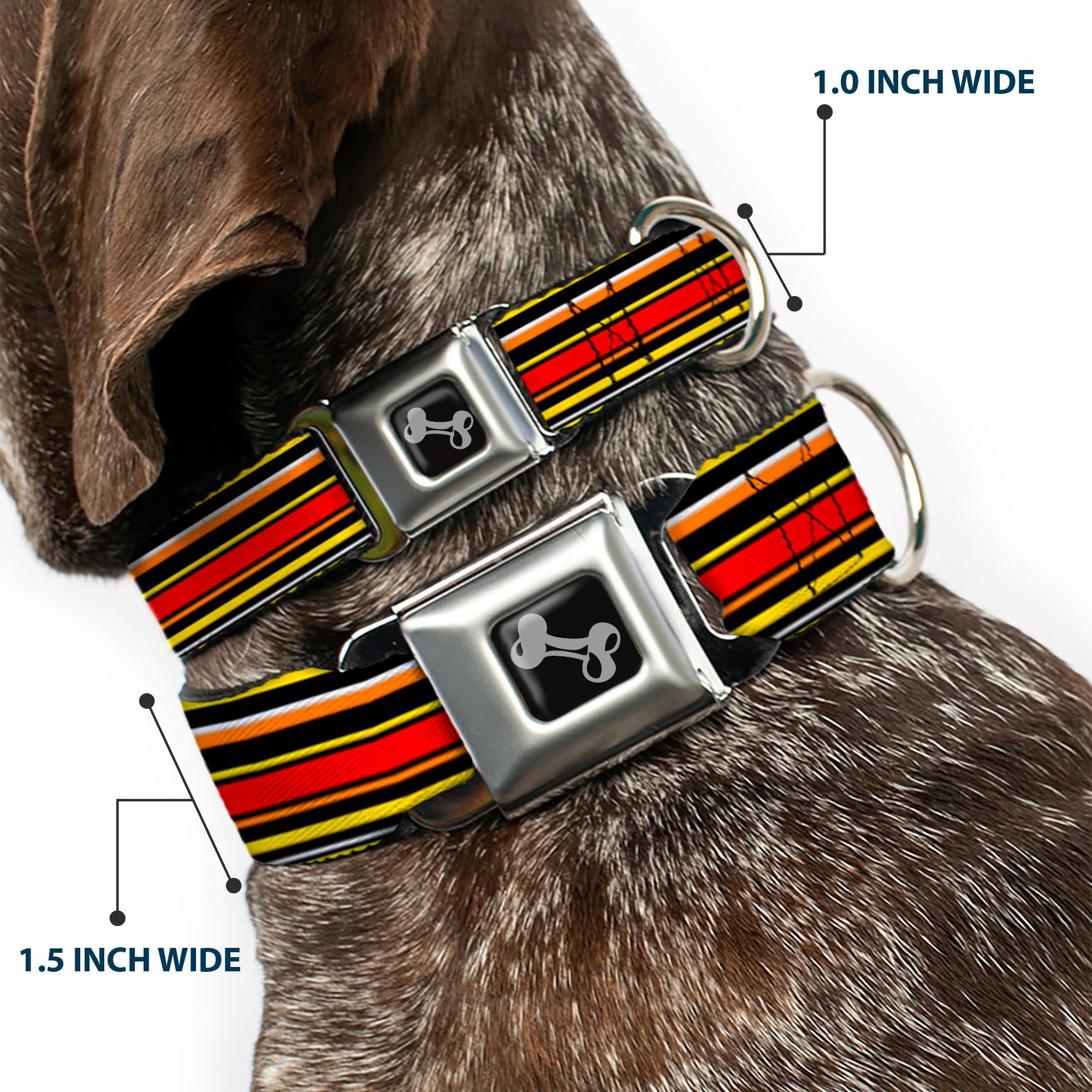 Dog Bone Seatbelt Buckle Collar - Fine Stripes Black/Yellows/Orange/Red/White Seatbelt Buckle Collars Buckle-Down