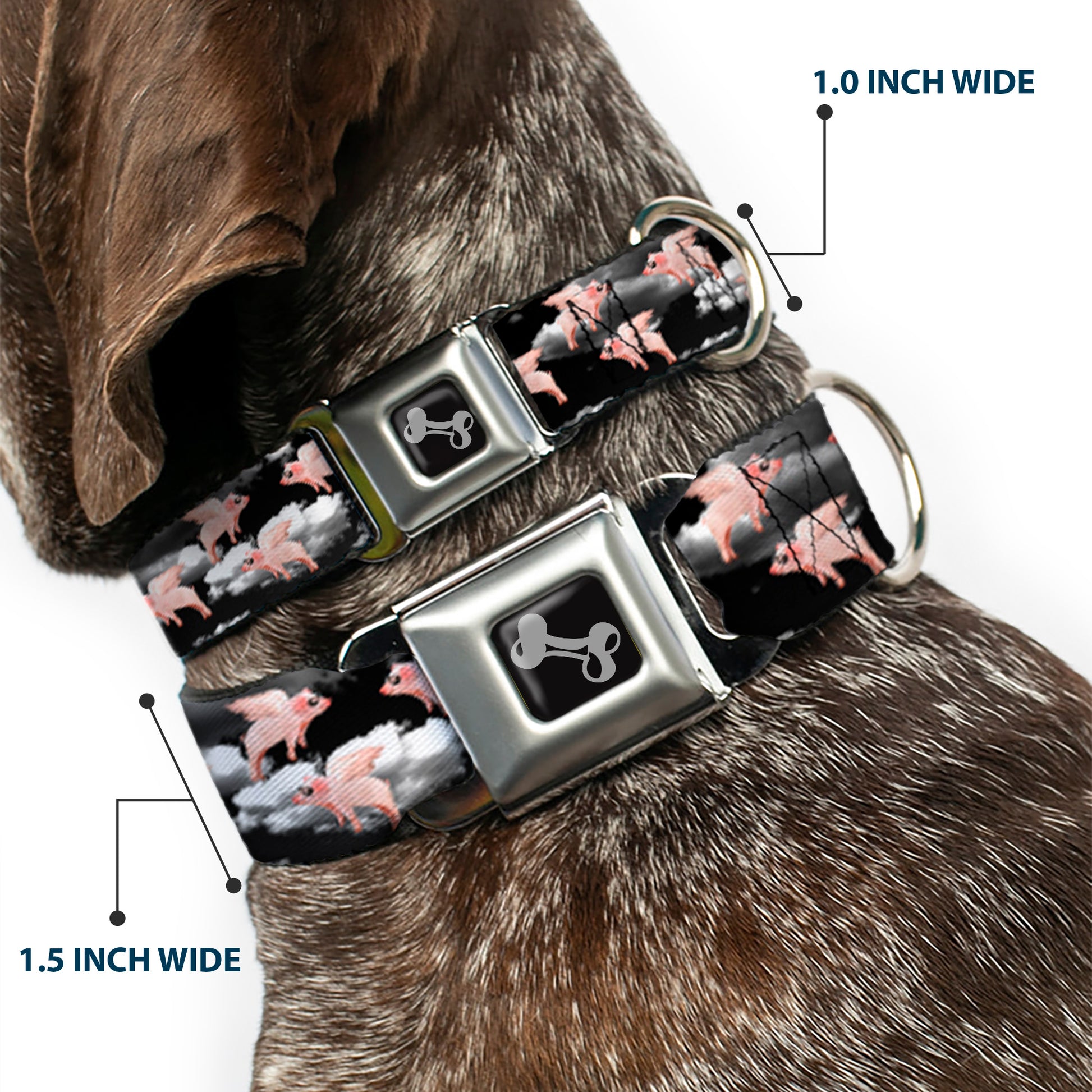 Dog Bone Seatbelt Buckle Collar - Flying Pigs Black/White/Pink Seatbelt Buckle Collars Buckle-Down
