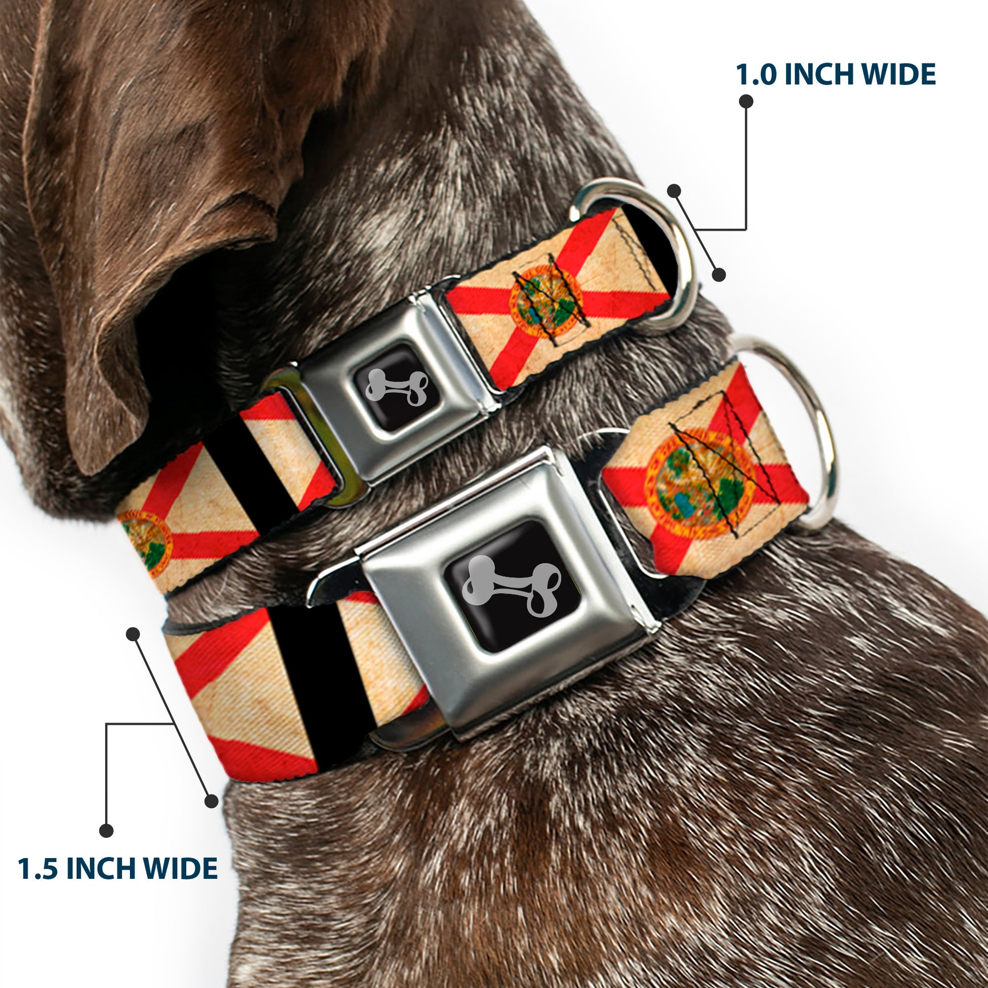Dog Bone Seatbelt Buckle Collar - Florida Flags/Black Seatbelt Buckle Collars Buckle-Down