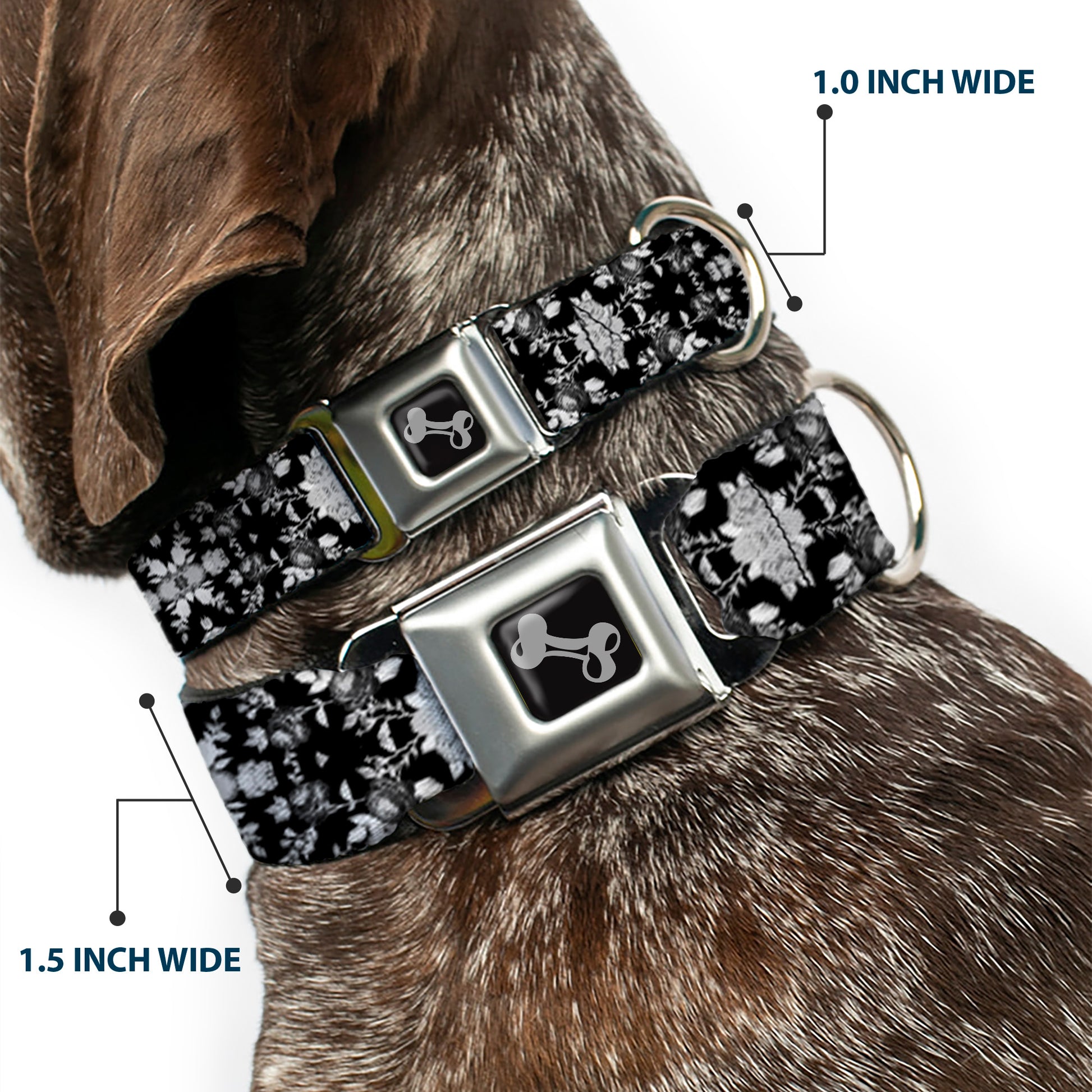 Dog Bone Seatbelt Buckle Collar - Floral Collage Black/Gray/White Seatbelt Buckle Collars Buckle-Down