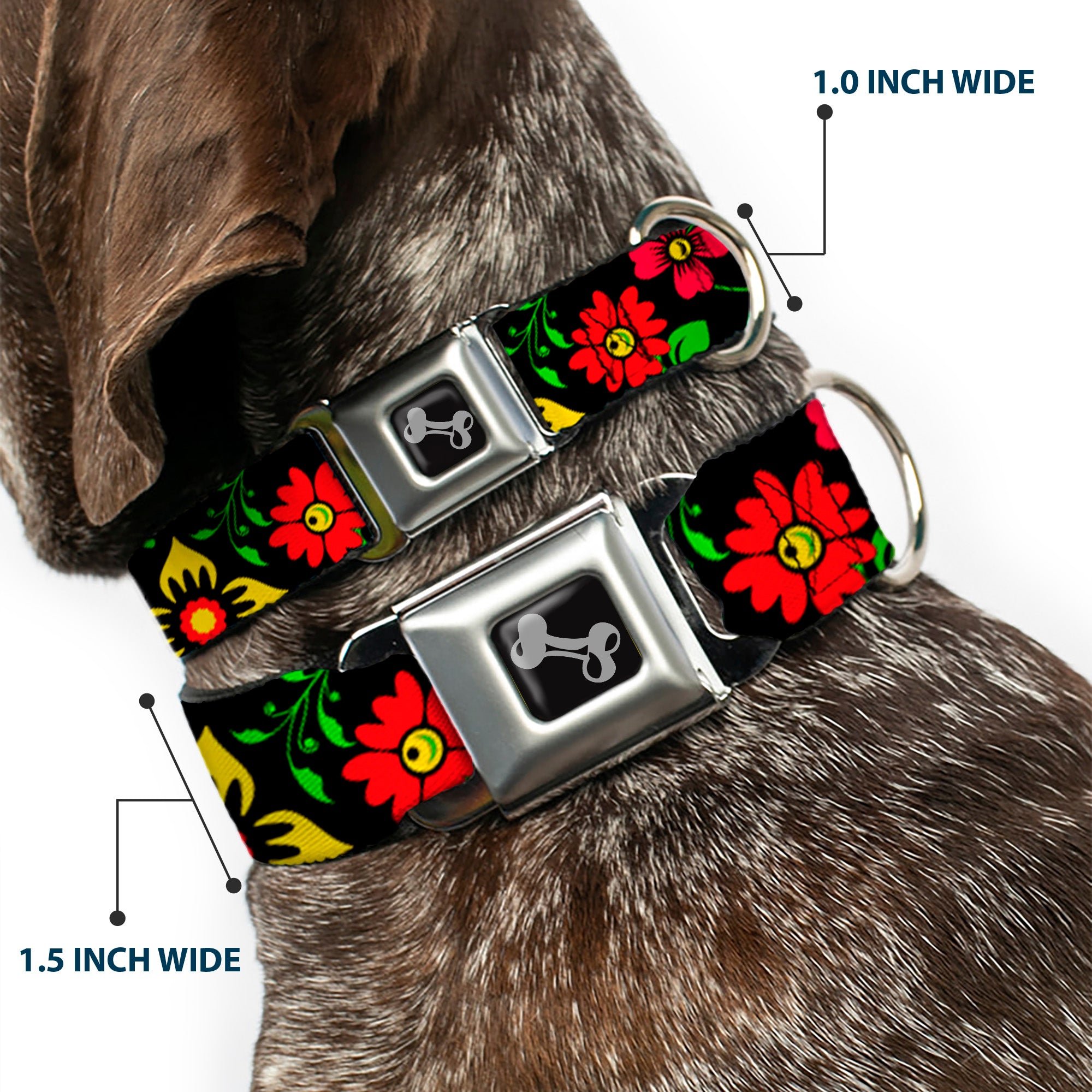 Dog Bone Seatbelt Buckle Collar - Floral Collage2 Black/Red/Orange/Green Seatbelt Buckle Collars Buckle-Down
