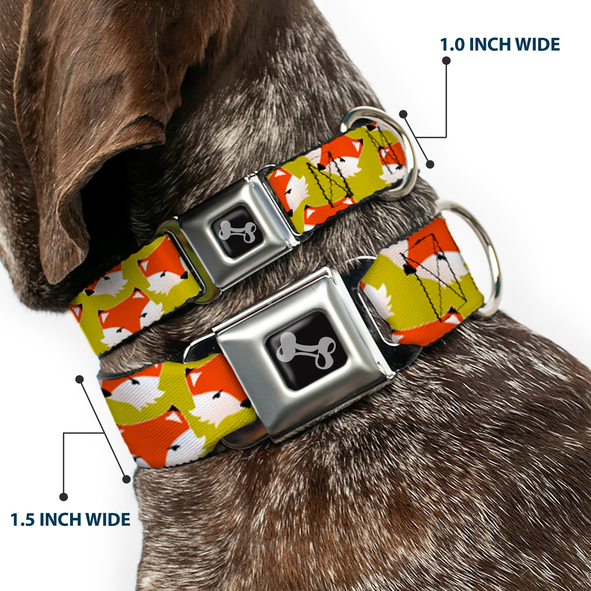 Dog Bone Seatbelt Buckle Collar - Fox Face Scattered Warm Olive Seatbelt Buckle Collars Buckle-Down