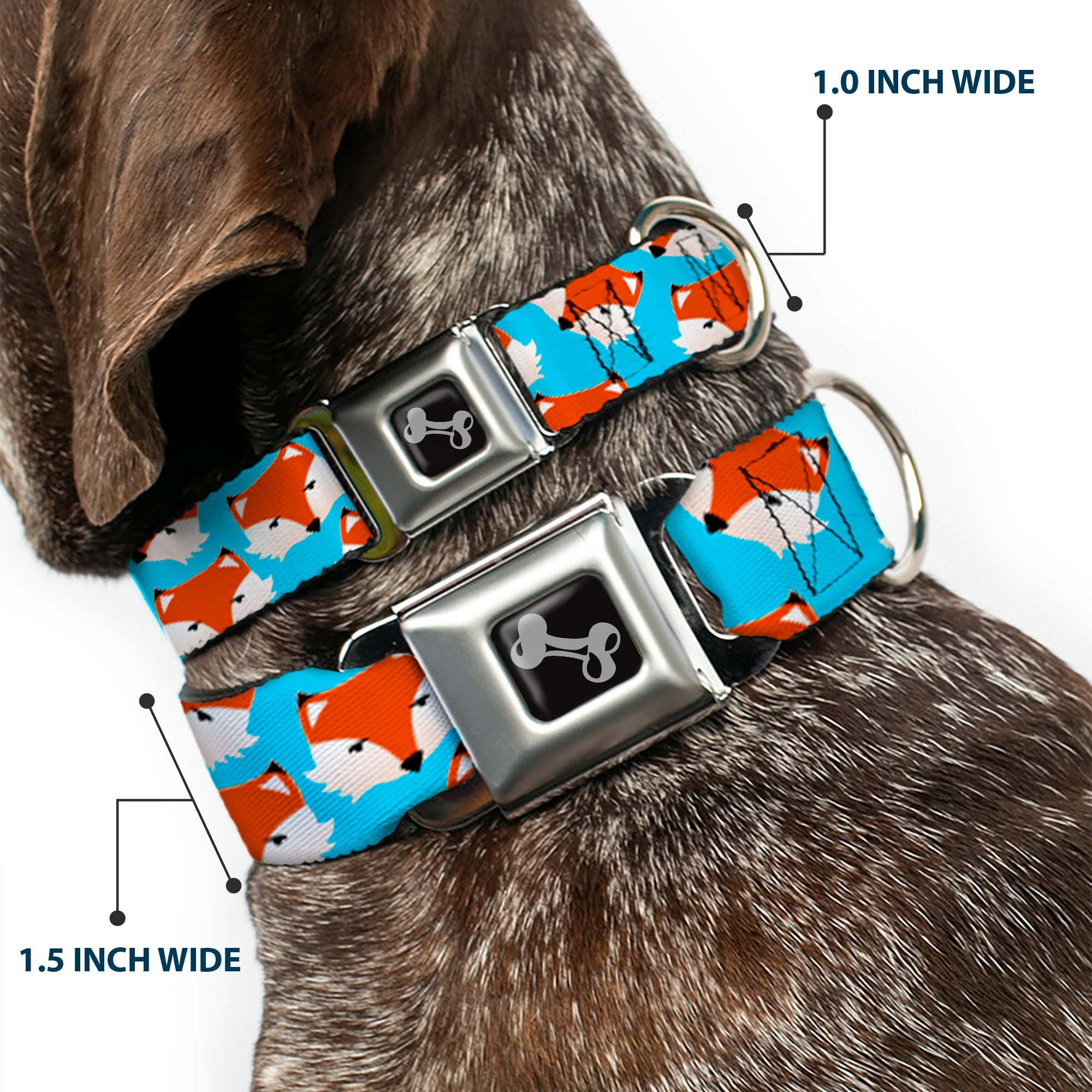 Dog Bone Seatbelt Buckle Collar - Fox Face Scattered Sky Blue Seatbelt Buckle Collars Buckle-Down