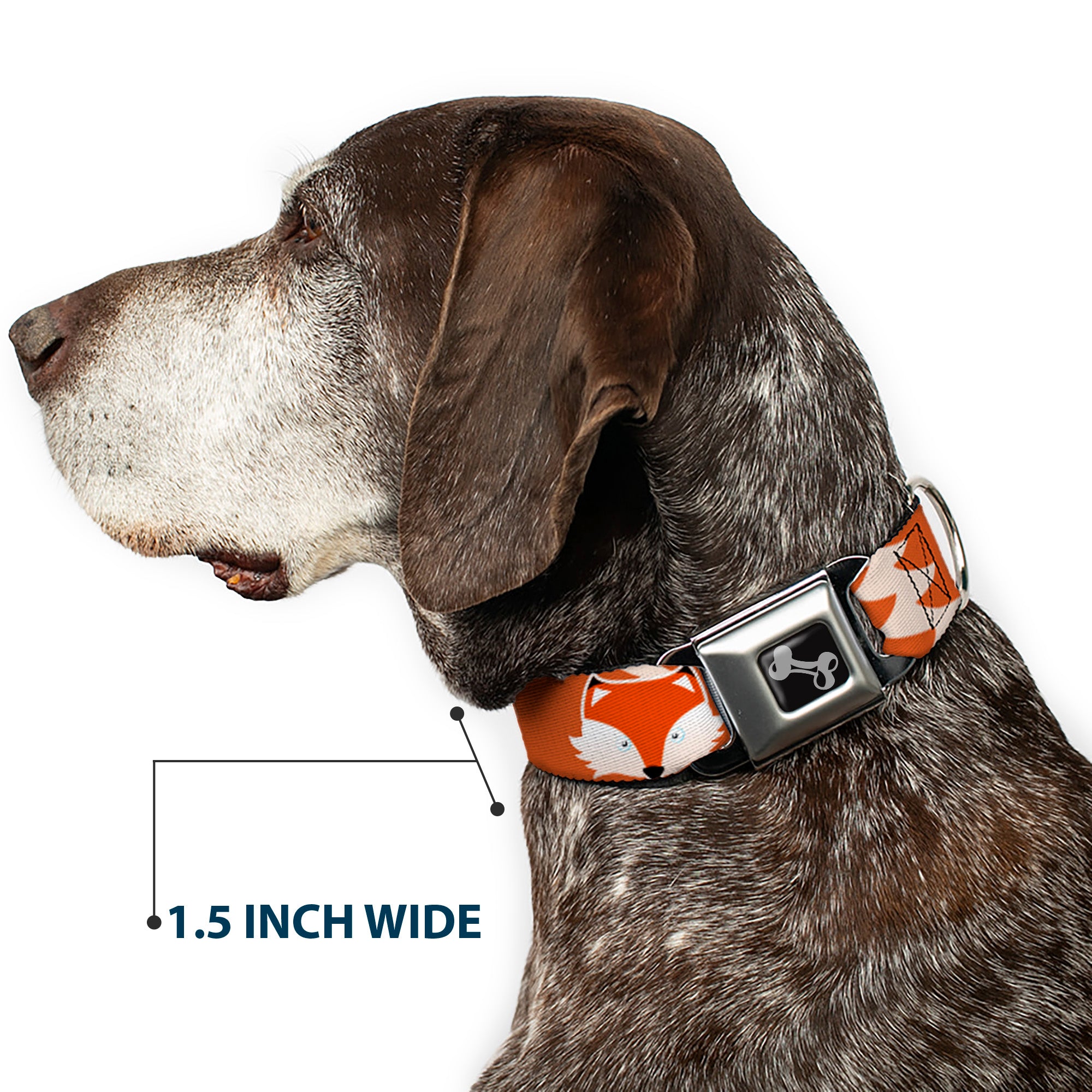 Dog Bone Seatbelt Buckle Collar - Fox Face/Tail Orange/Natural Seatbelt Buckle Collars Buckle-Down