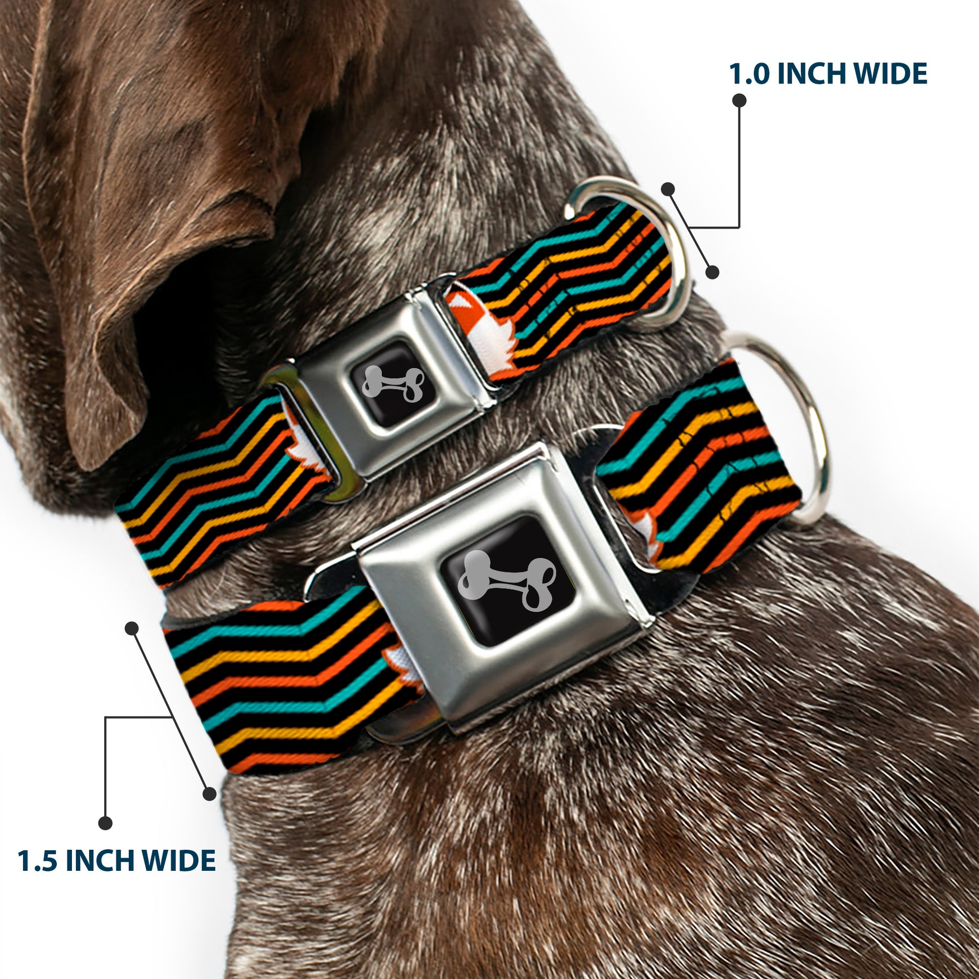 Dog Bone Seatbelt Buckle Collar - Fox Face/Stripes Black/Multi Color Seatbelt Buckle Collars Buckle-Down