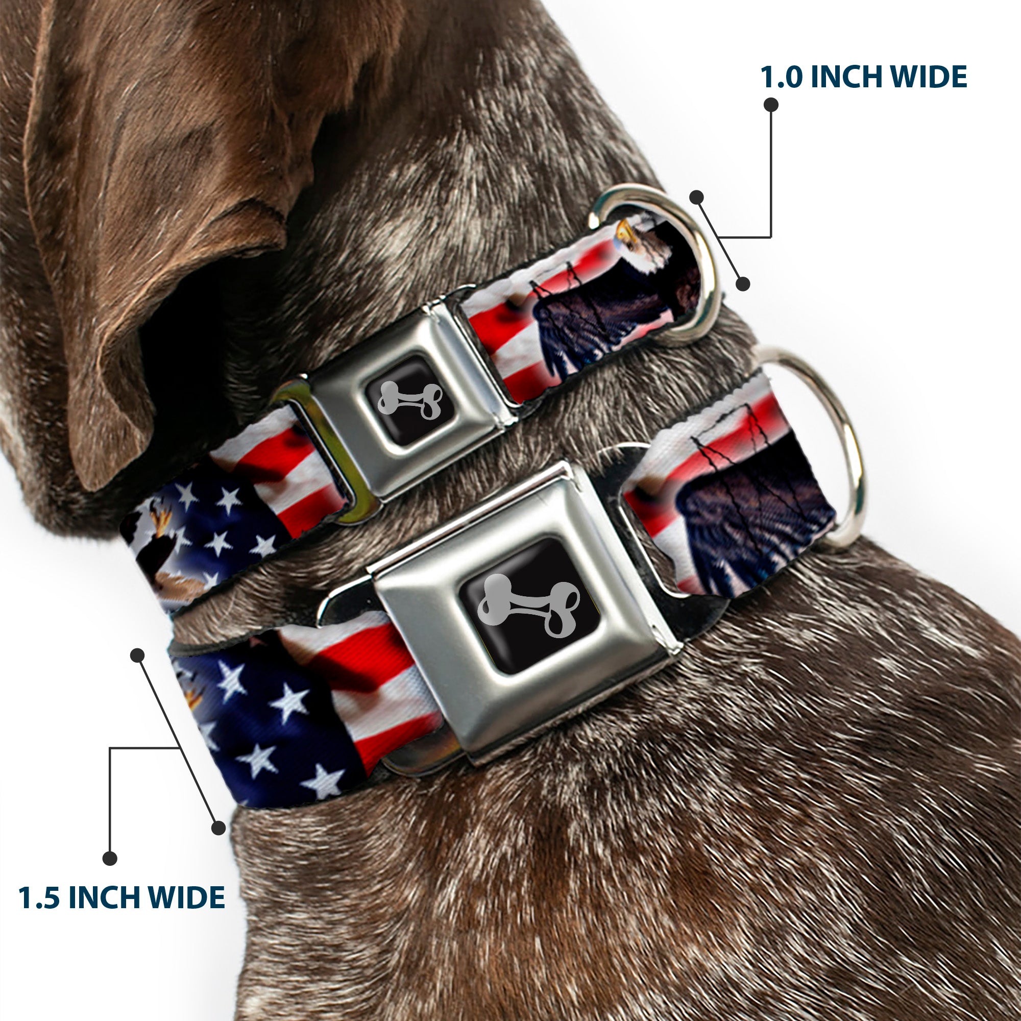 Dog Bone Seatbelt Buckle Collar - Flying Eagle/American Flag Seatbelt Buckle Collars Buckle-Down