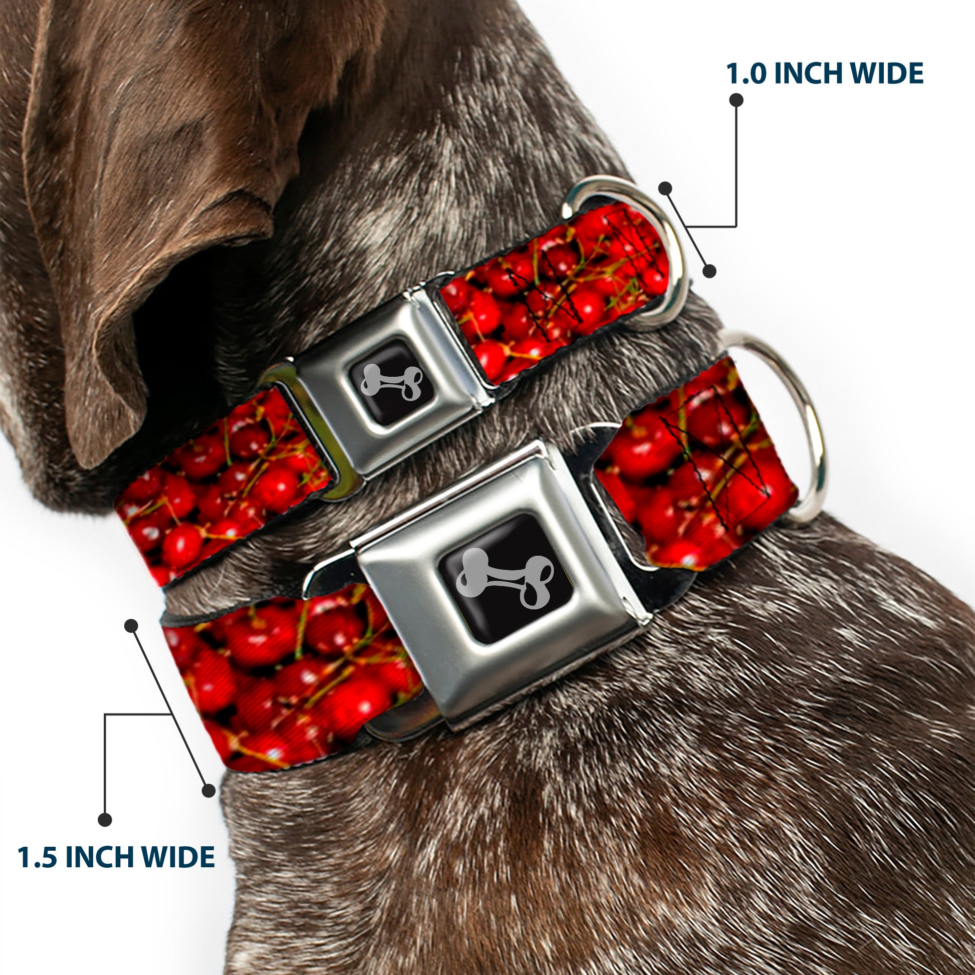 Dog Bone Seatbelt Buckle Collar - Fresh Cherries Stacked Seatbelt Buckle Collars Buckle-Down