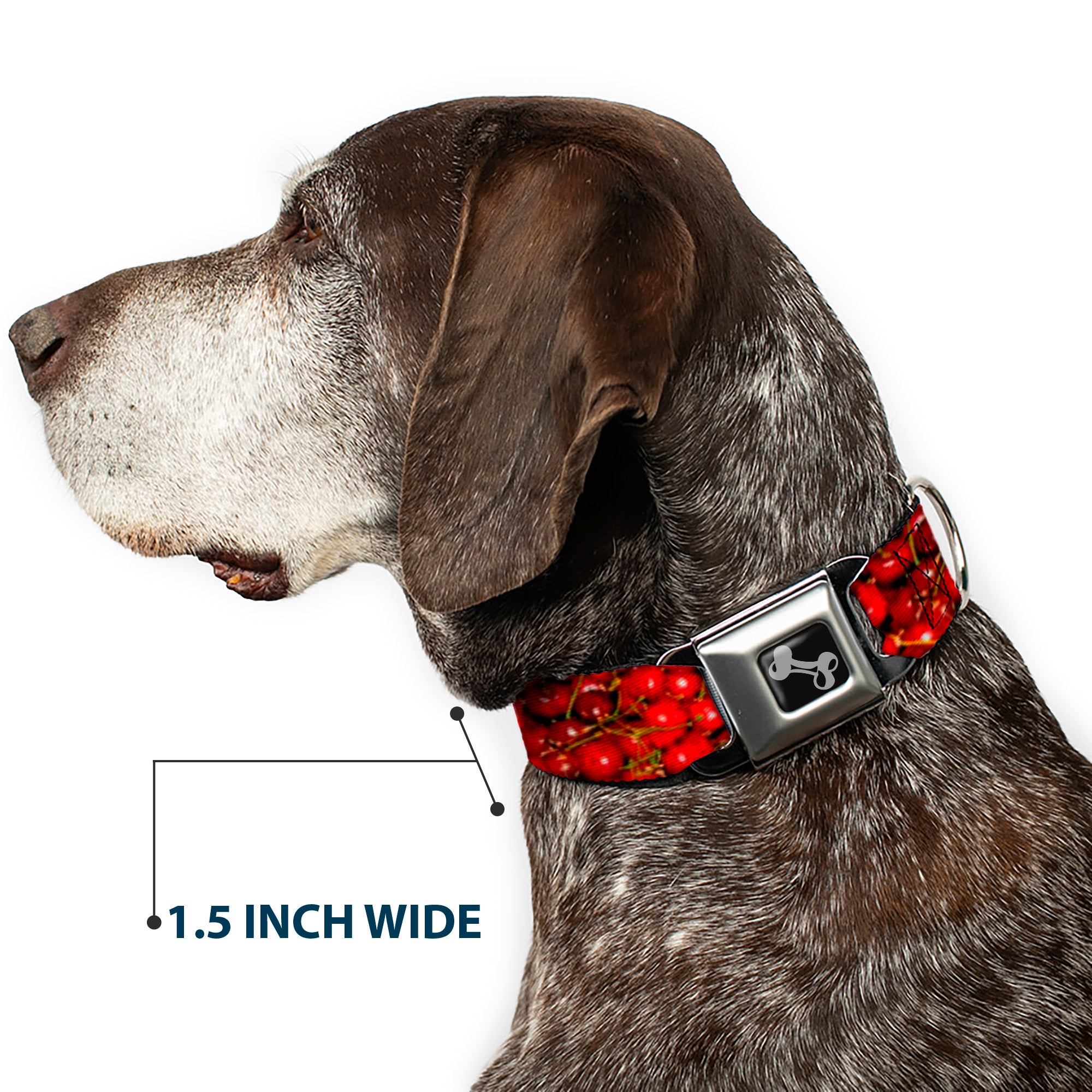 Dog Bone Seatbelt Buckle Collar - Fresh Cherries Stacked Seatbelt Buckle Collars Buckle-Down