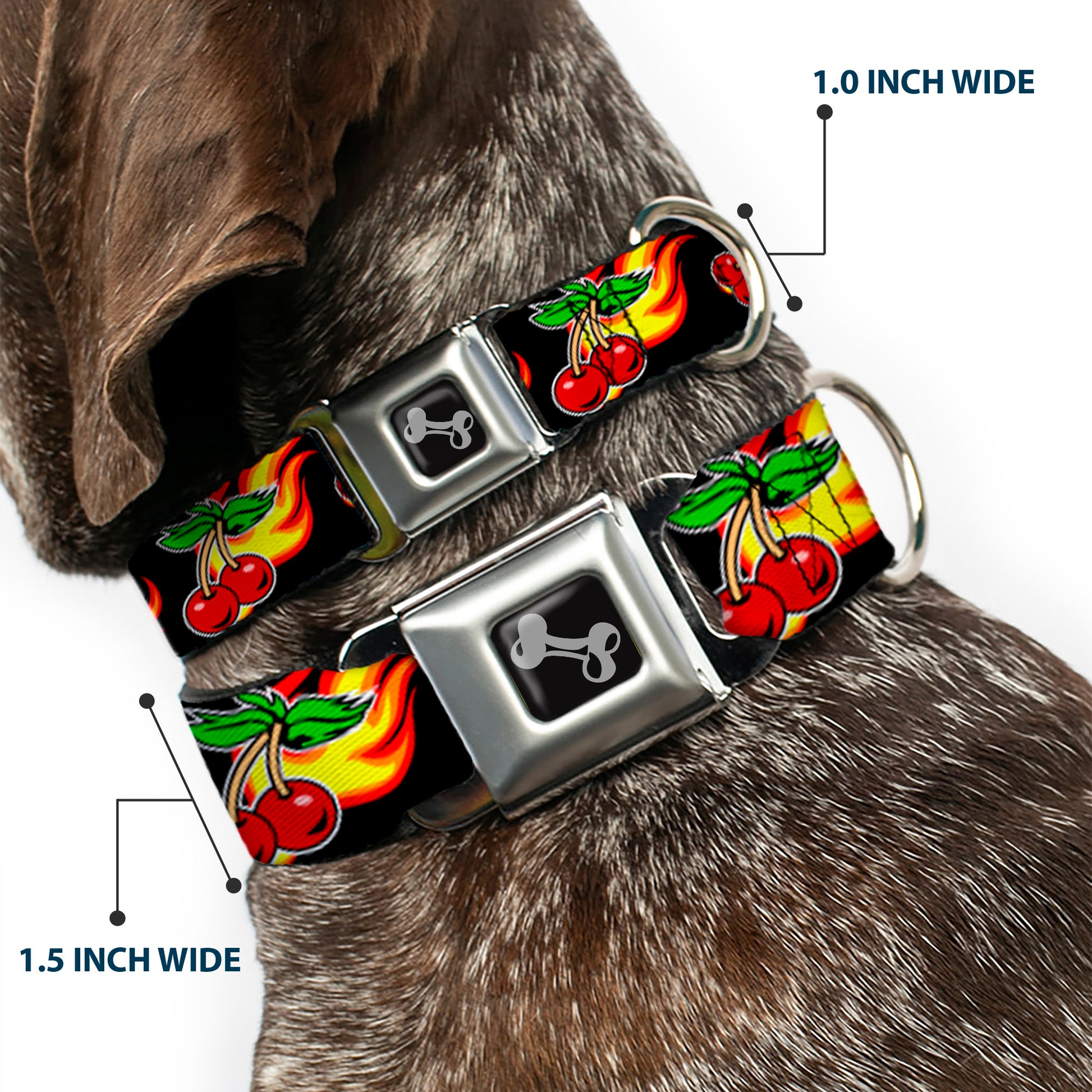 Dog Bone Seatbelt Buckle Collar - Flaming Cherries Scattered Black Seatbelt Buckle Collars Buckle-Down