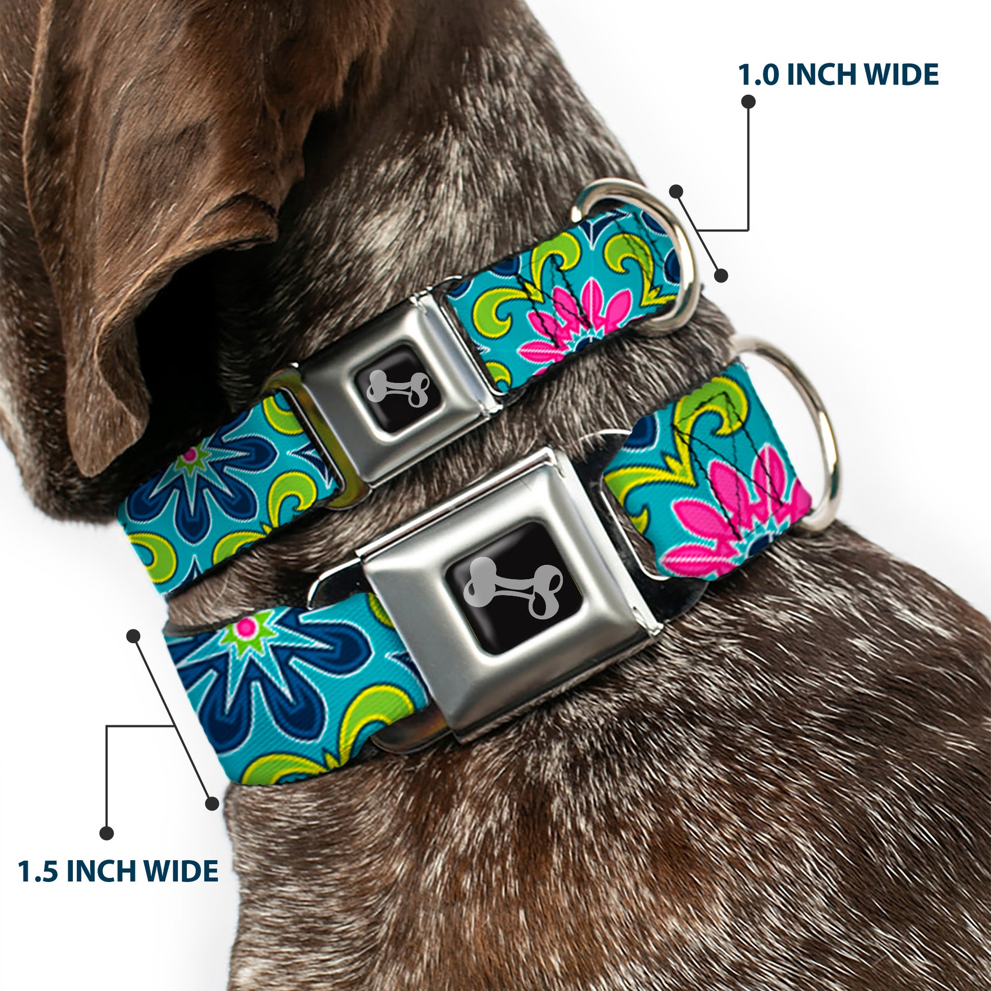 Dog Bone Seatbelt Buckle Collar - Floral Burst Turquoise/Blues/Pinks/Yellow/Green Seatbelt Buckle Collars Buckle-Down