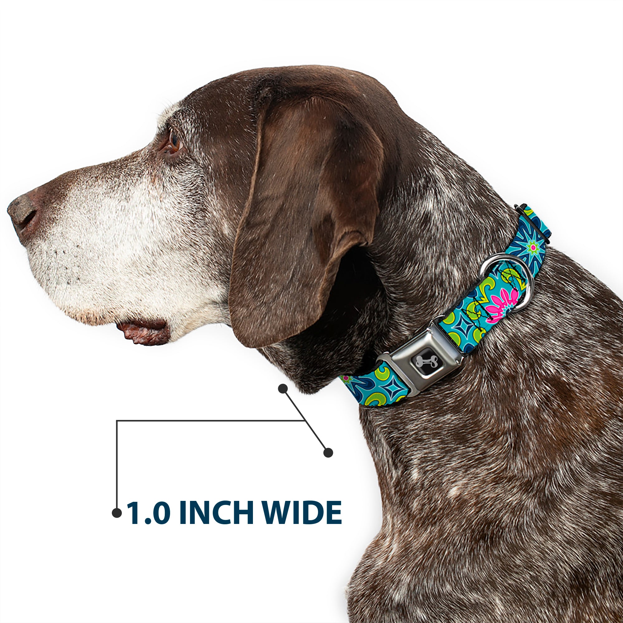 Dog Bone Seatbelt Buckle Collar - Floral Burst Turquoise/Blues/Pinks/Yellow/Green Seatbelt Buckle Collars Buckle-Down