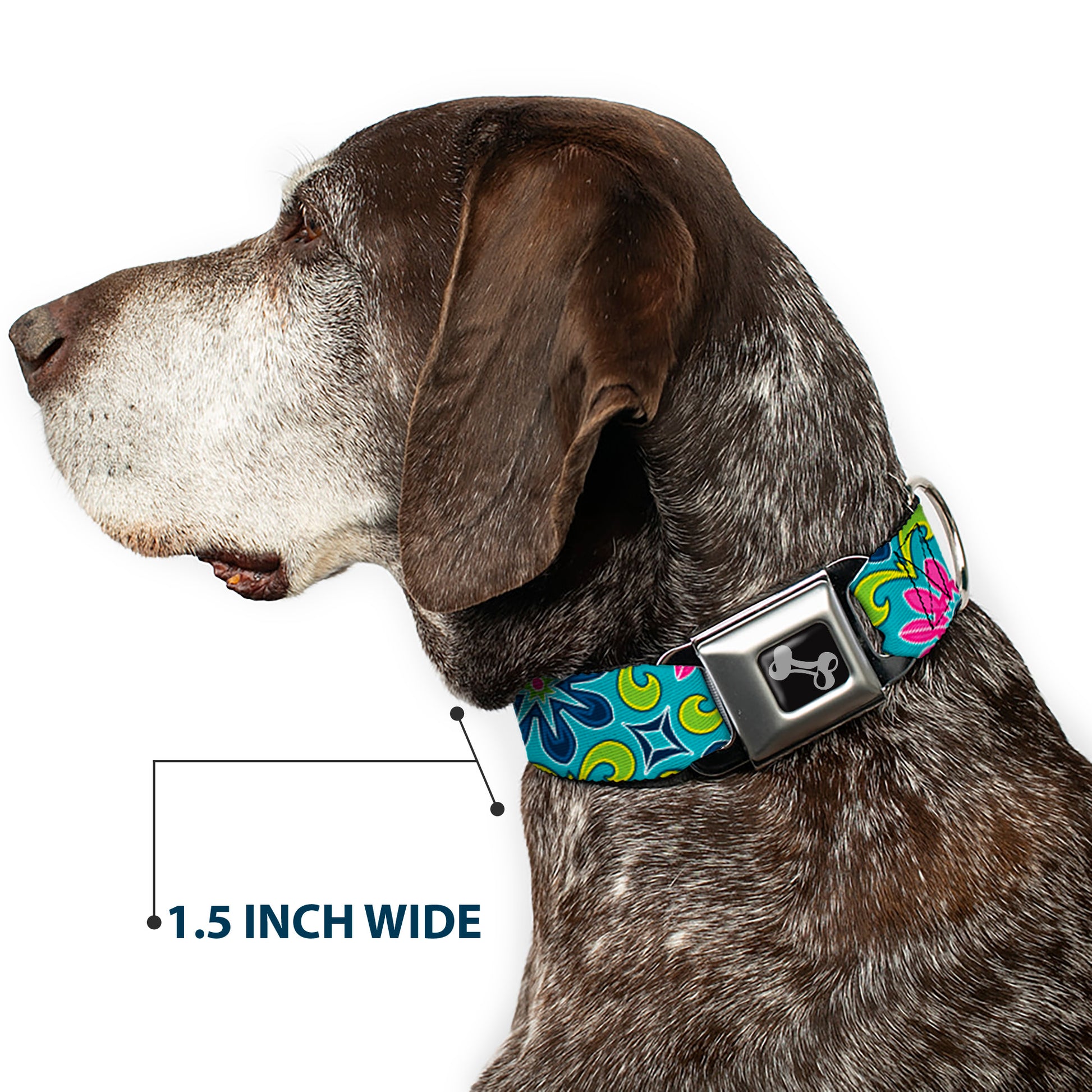 Dog Bone Seatbelt Buckle Collar - Floral Burst Turquoise/Blues/Pinks/Yellow/Green Seatbelt Buckle Collars Buckle-Down