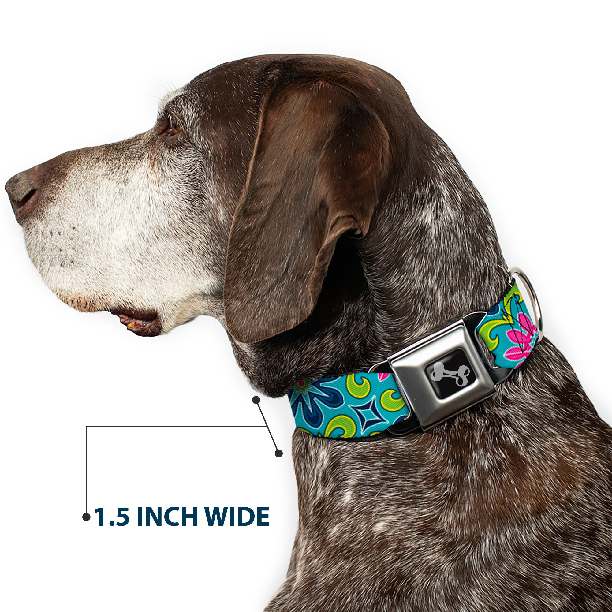 Dog Bone Seatbelt Buckle Collar - Floral Burst Turquoise/Blues/Pinks/Yellow/Green Seatbelt Buckle Collars Buckle-Down