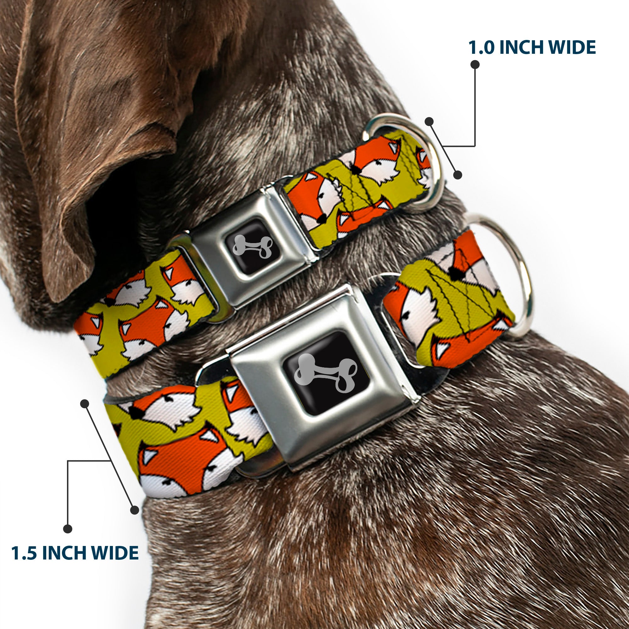 Dog Bone Seatbelt Buckle Collar - Fox Face Scattered Warm Olive2 Seatbelt Buckle Collars Buckle-Down