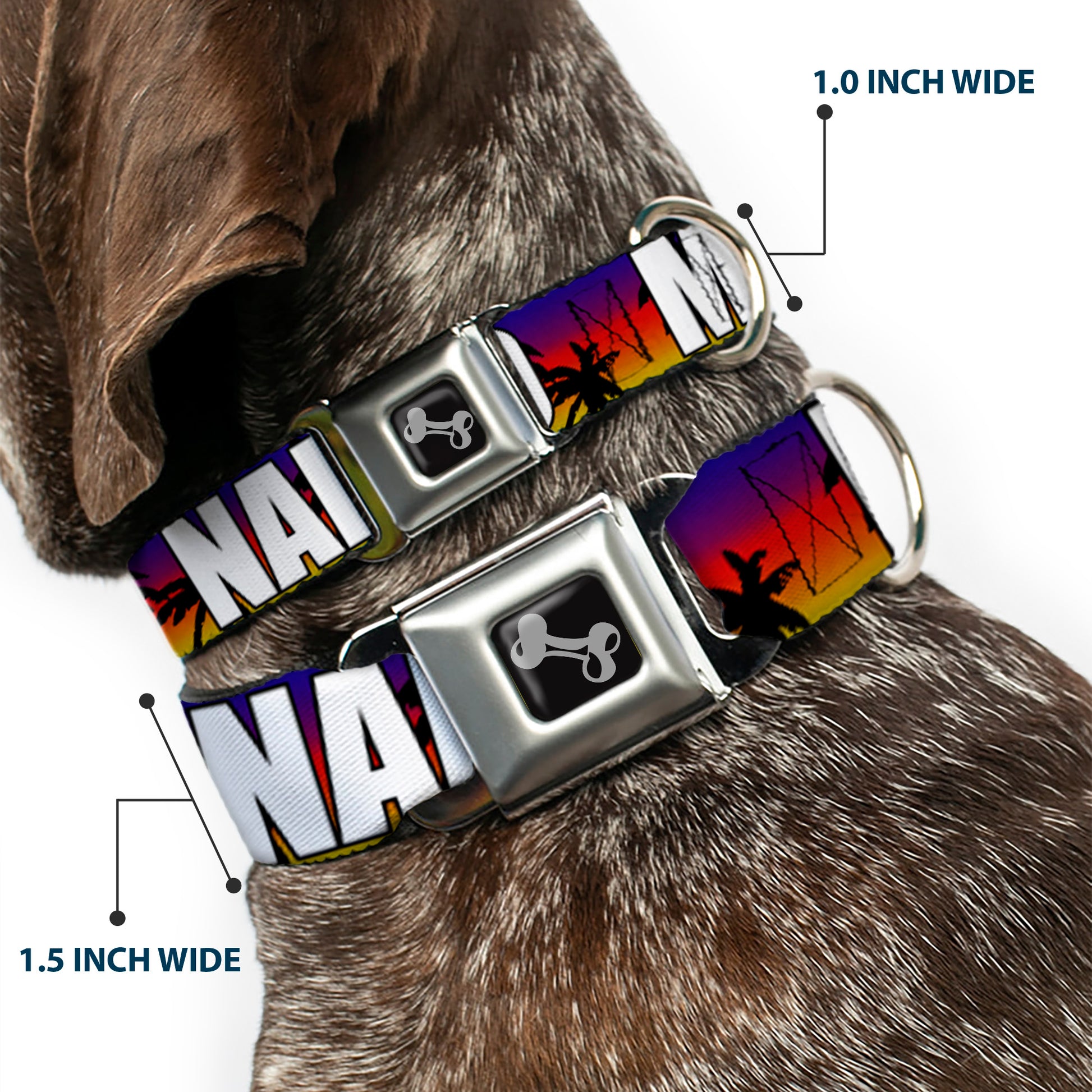 Dog Bone Seatbelt Buckle Collar - Florida Cities Palm Tree Sunset/White Seatbelt Buckle Collars Buckle-Down
