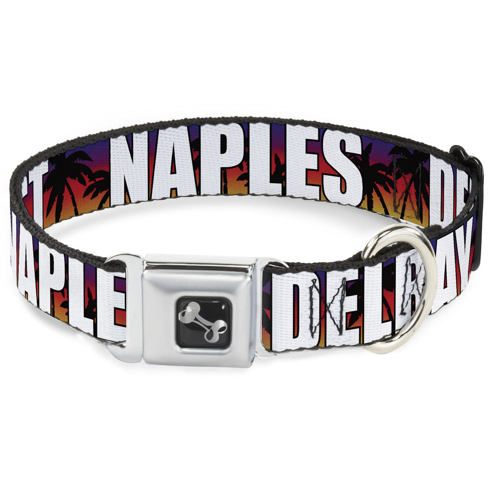 Dog Bone Seatbelt Buckle Collar - Florida Cities Palm Tree Sunset/White Seatbelt Buckle Collars Buckle-Down