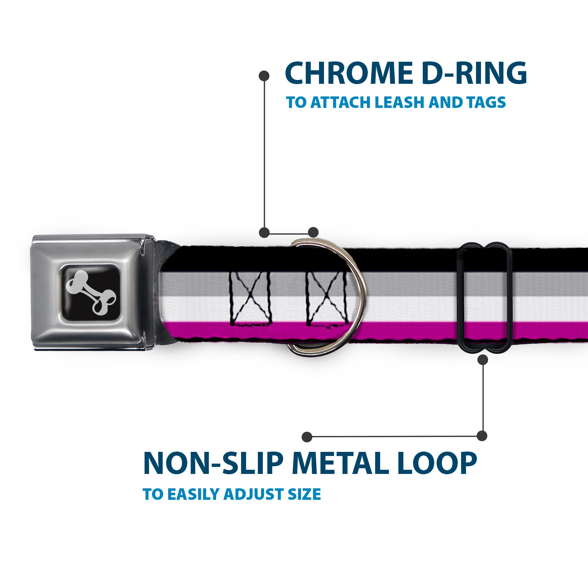 Dog Bone Seatbelt Buckle Collar - Flag Asexual Black/Gray/White/Purple Seatbelt Buckle Collars Buckle-Down