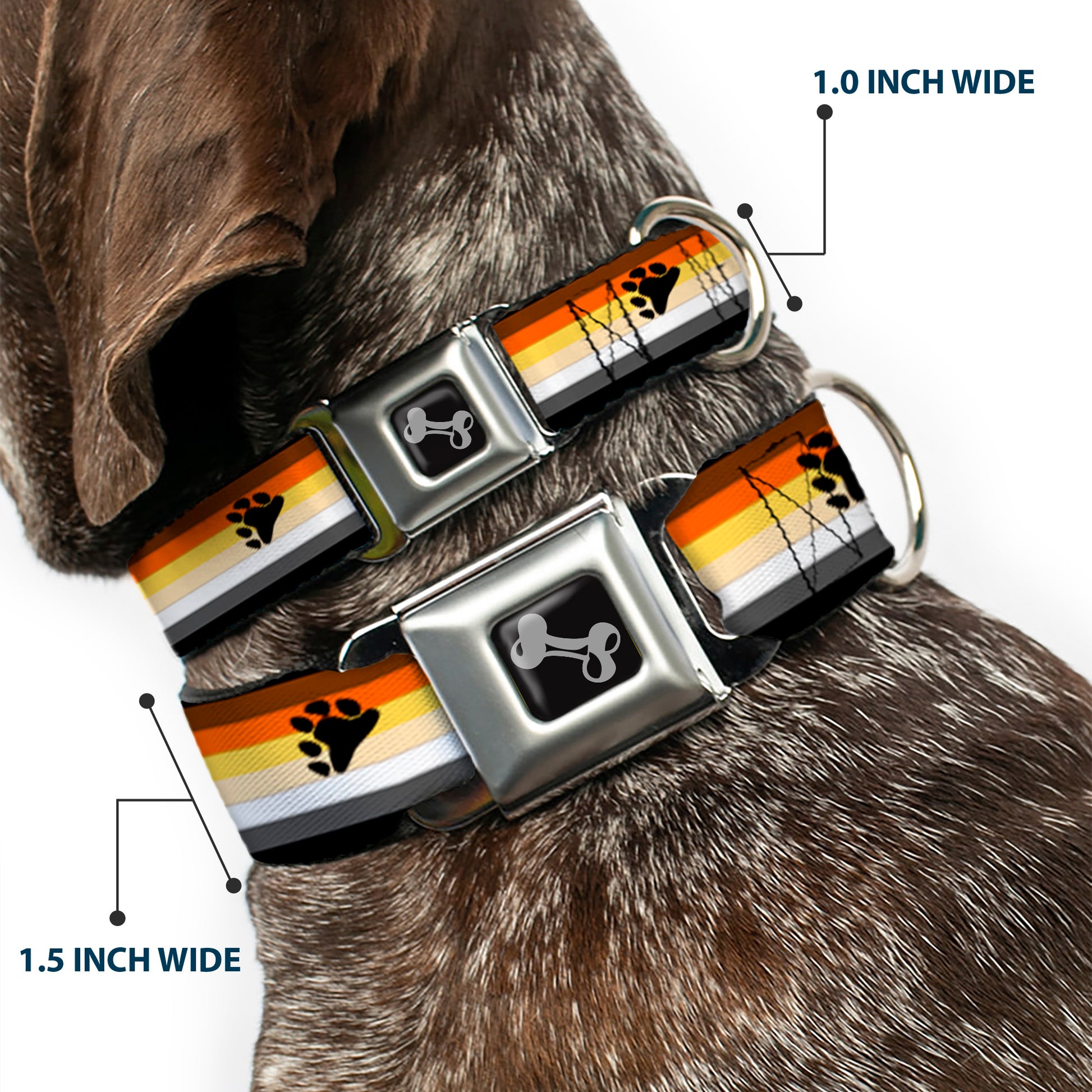 Dog Bone Black/Silver Seatbelt Buckle Collar - Flag Bear Pride2 Black/Brown/Orange/Yellow/Tan/White/Gray/Black Seatbelt Buckle Collars Buckle-Down
