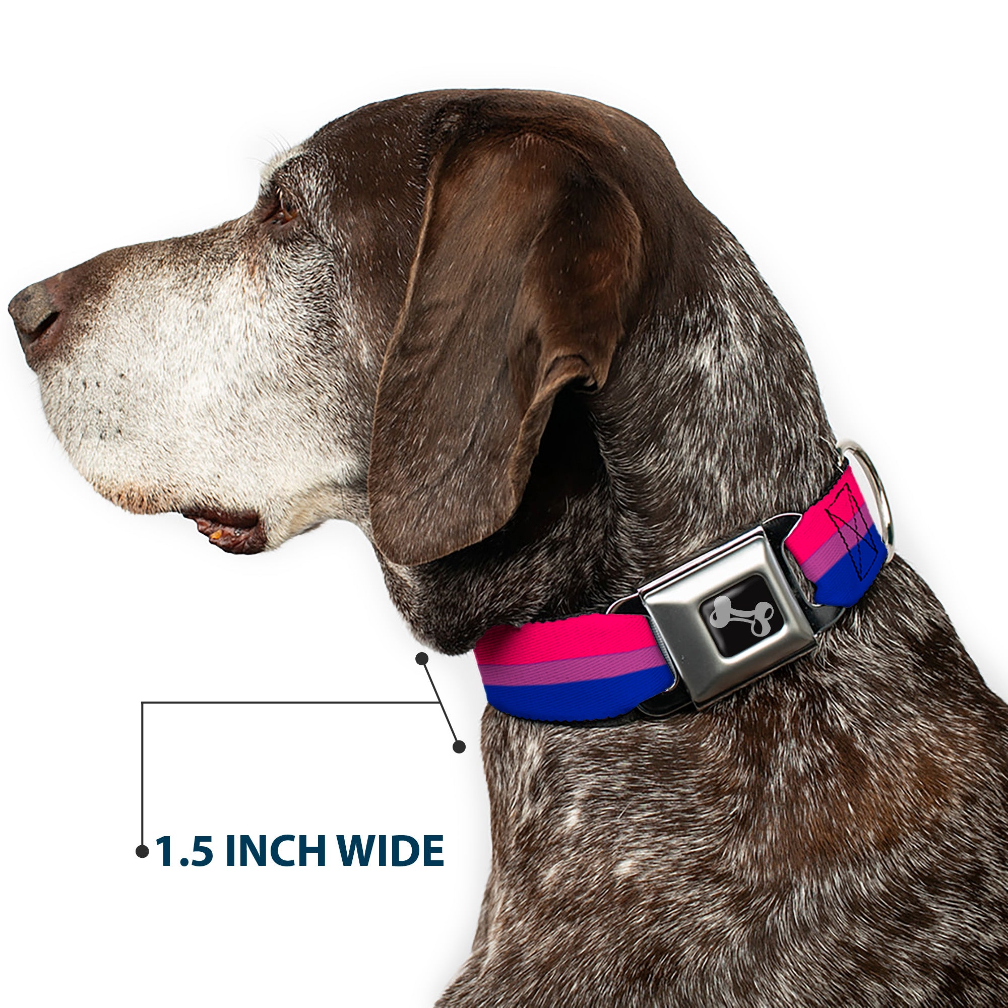 Dog Bone Seatbelt Buckle Collar - Flag Bisexual Pink/Purple/Blue Seatbelt Buckle Collars Buckle-Down