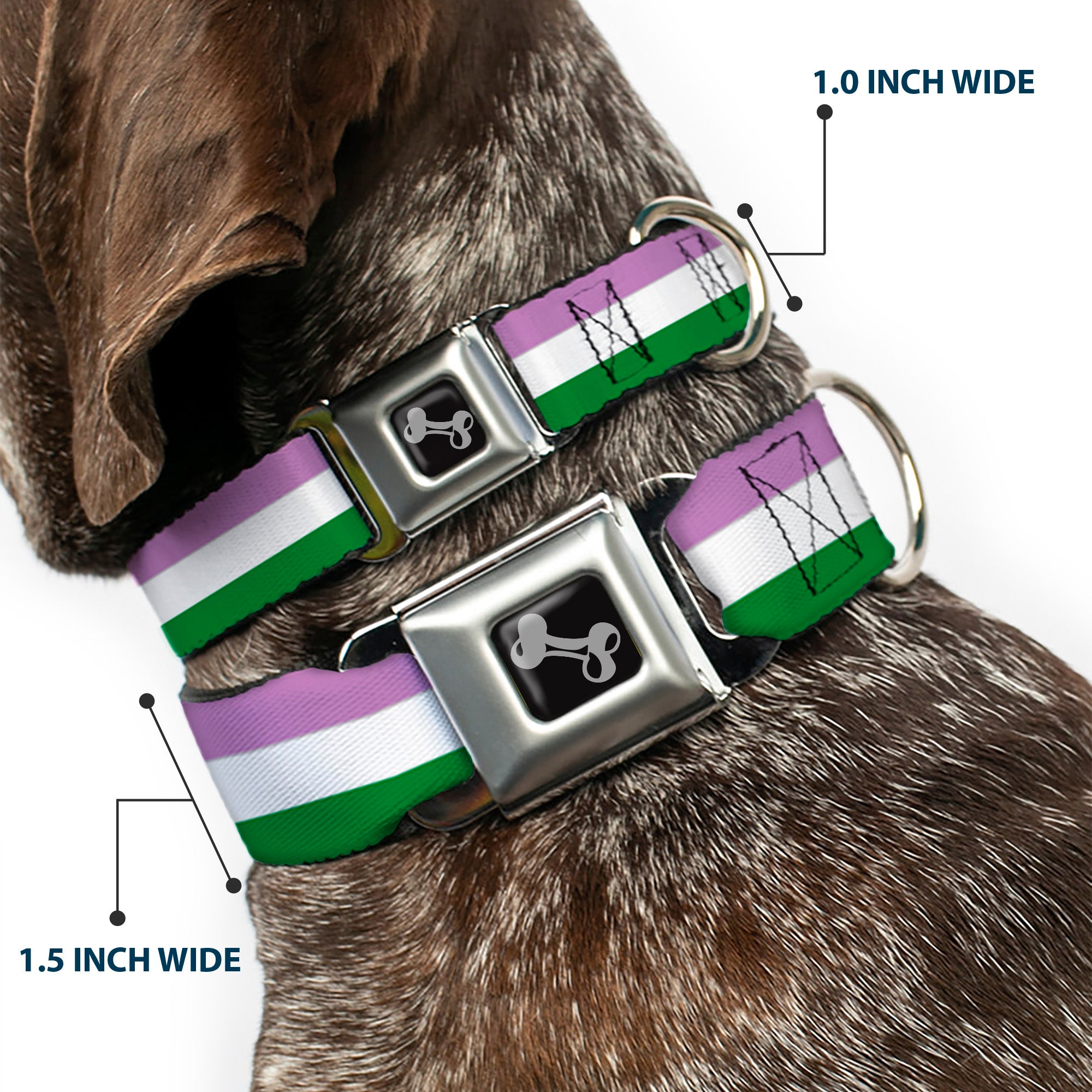 Dog Bone Seatbelt Buckle Collar - Flag Genderqueer Lavender/White/Green Seatbelt Buckle Collars Buckle-Down